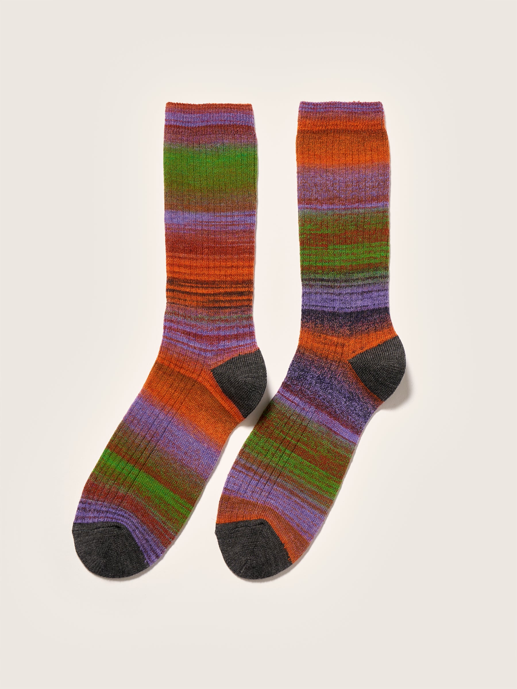 Baque rib-knit socks (242 / W / COMBO B)