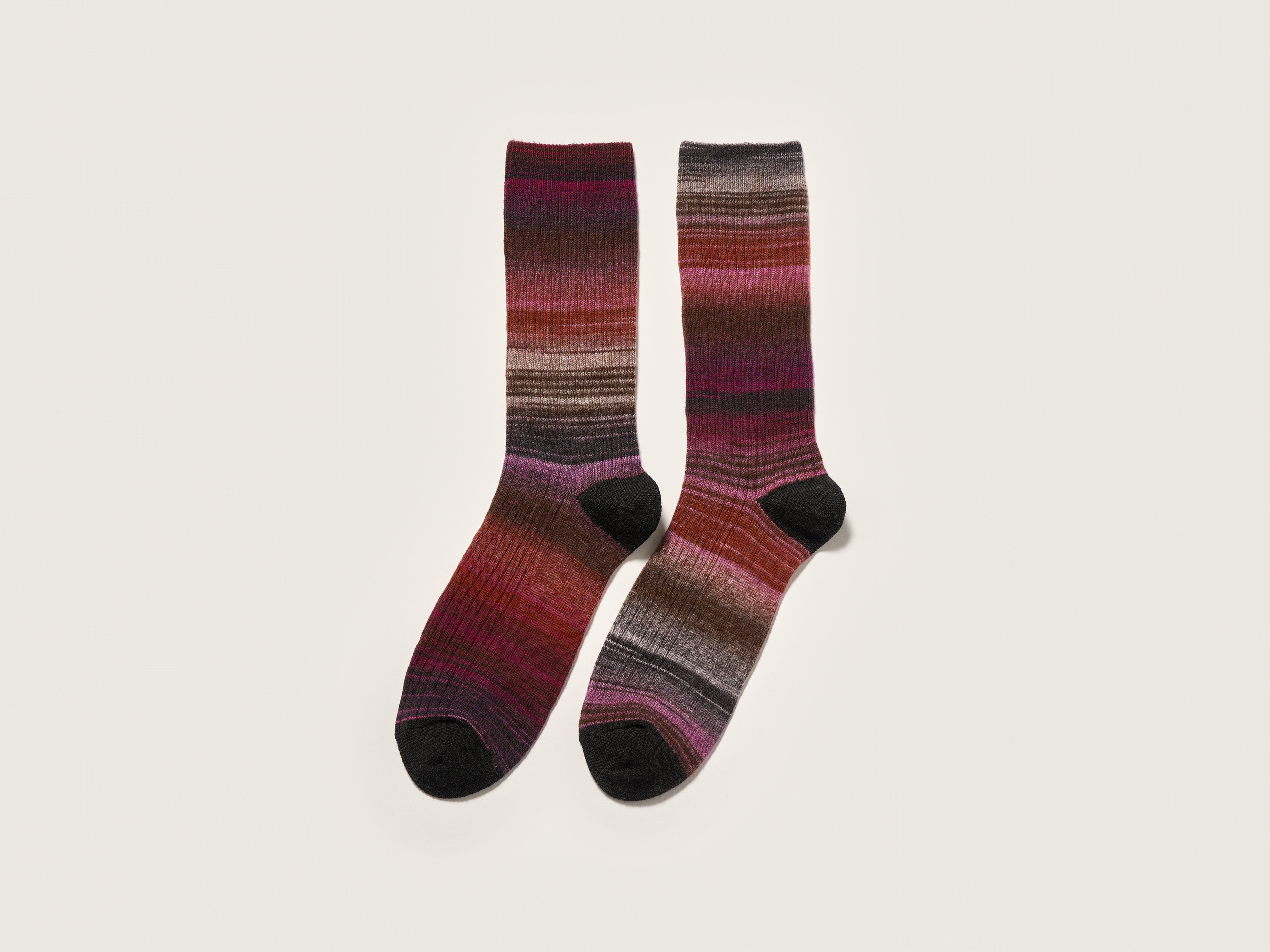 Baque rib-knit socks (242 / W / COMBO D)