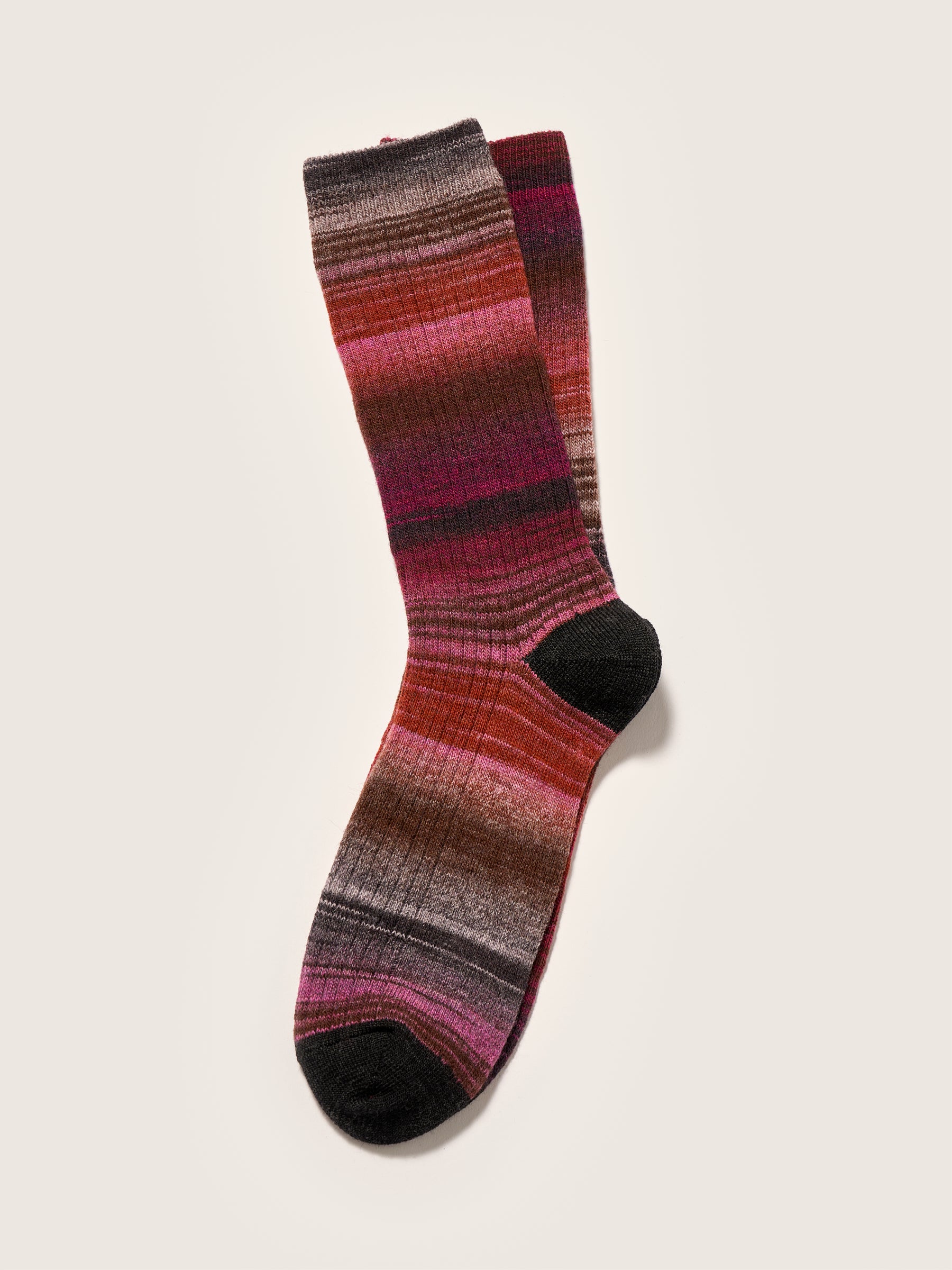 Baque rib-knit socks (242 / W / COMBO D)