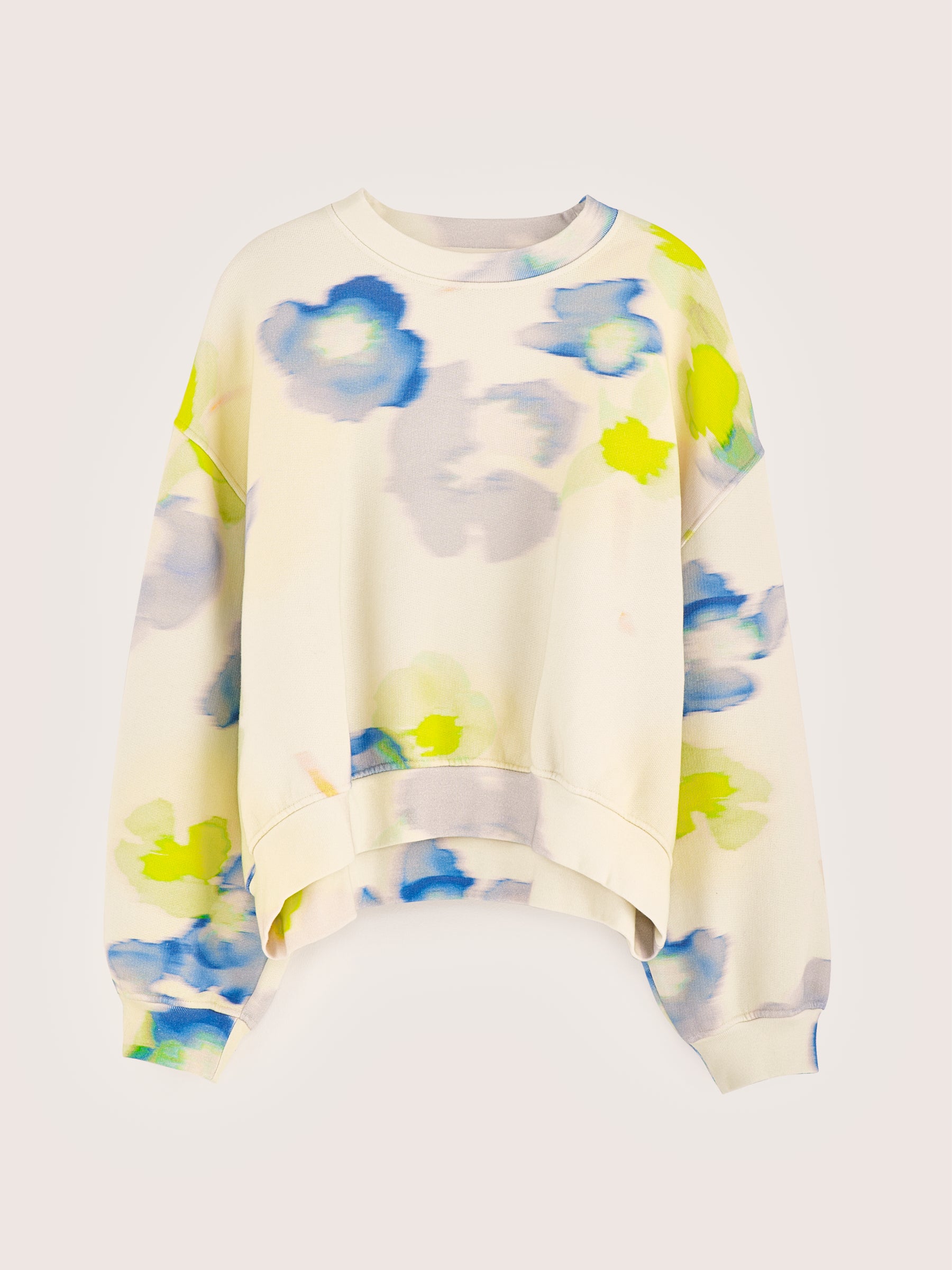 Fancy floral printed sweatshirt (242 / W / COMBO B)