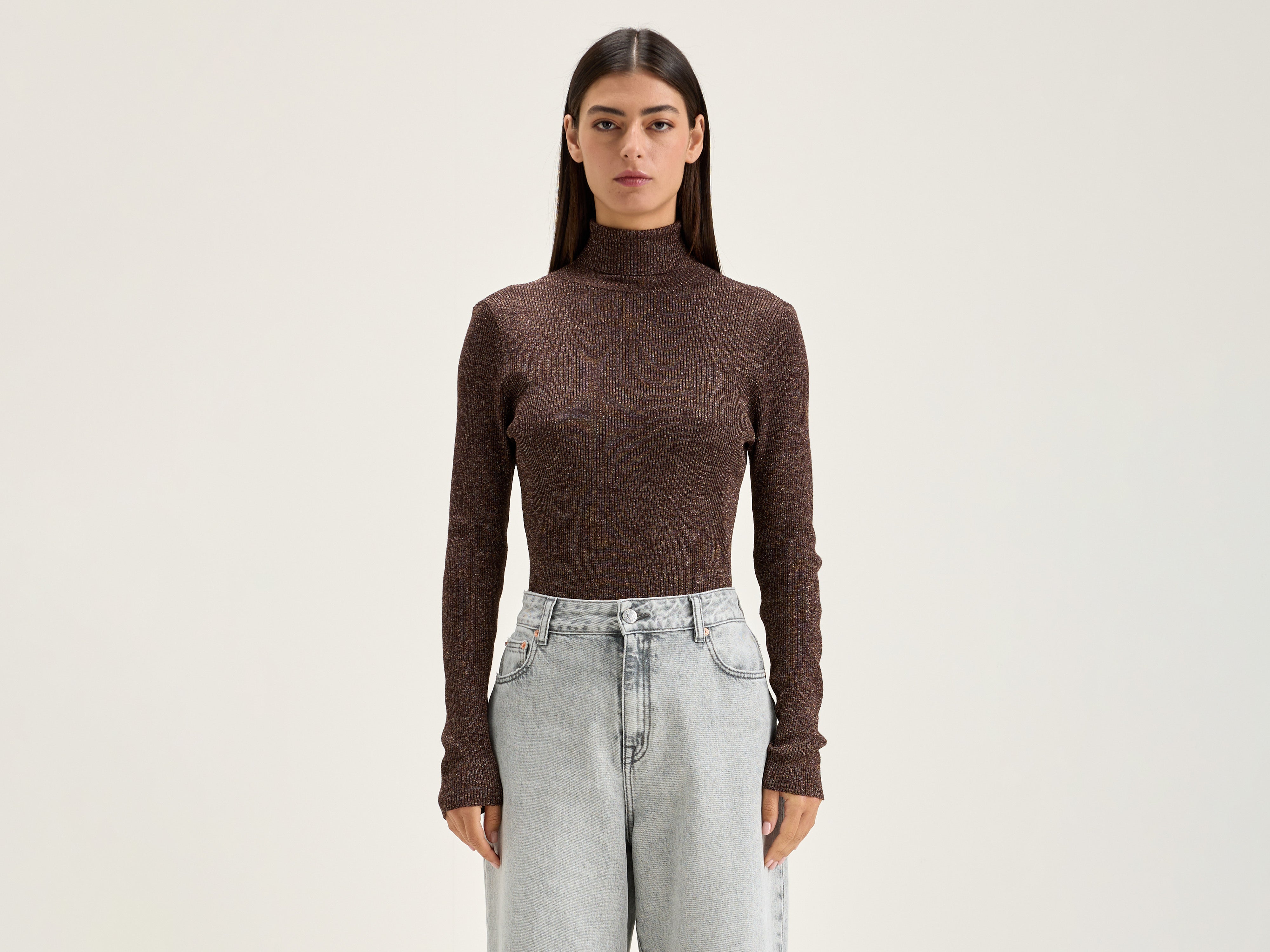 Anoit turtleneck sweater (242 / W / CHESTNUT)