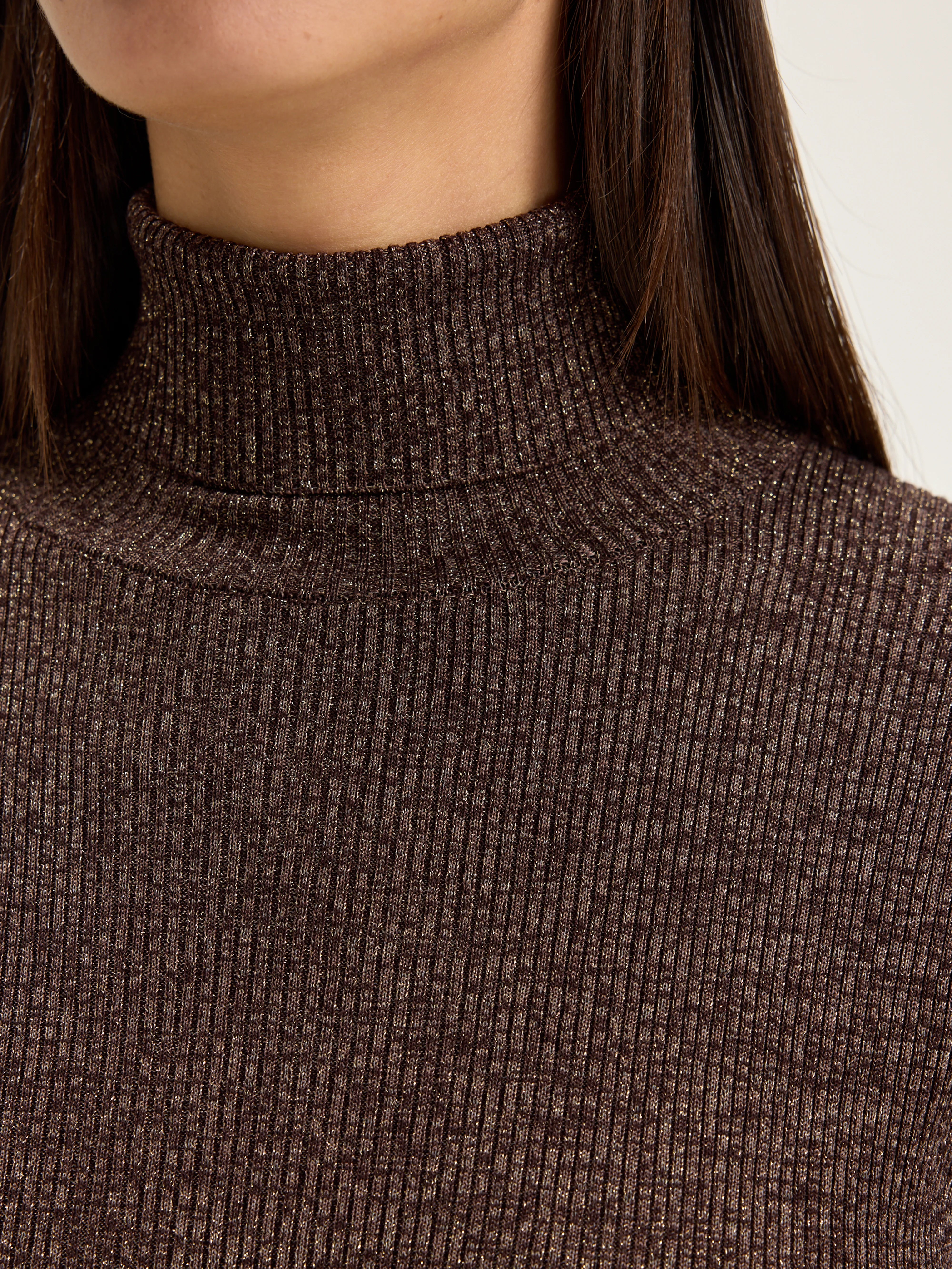 Anoit Turtleneck Sweater - Chestnut For Women | Bellerose