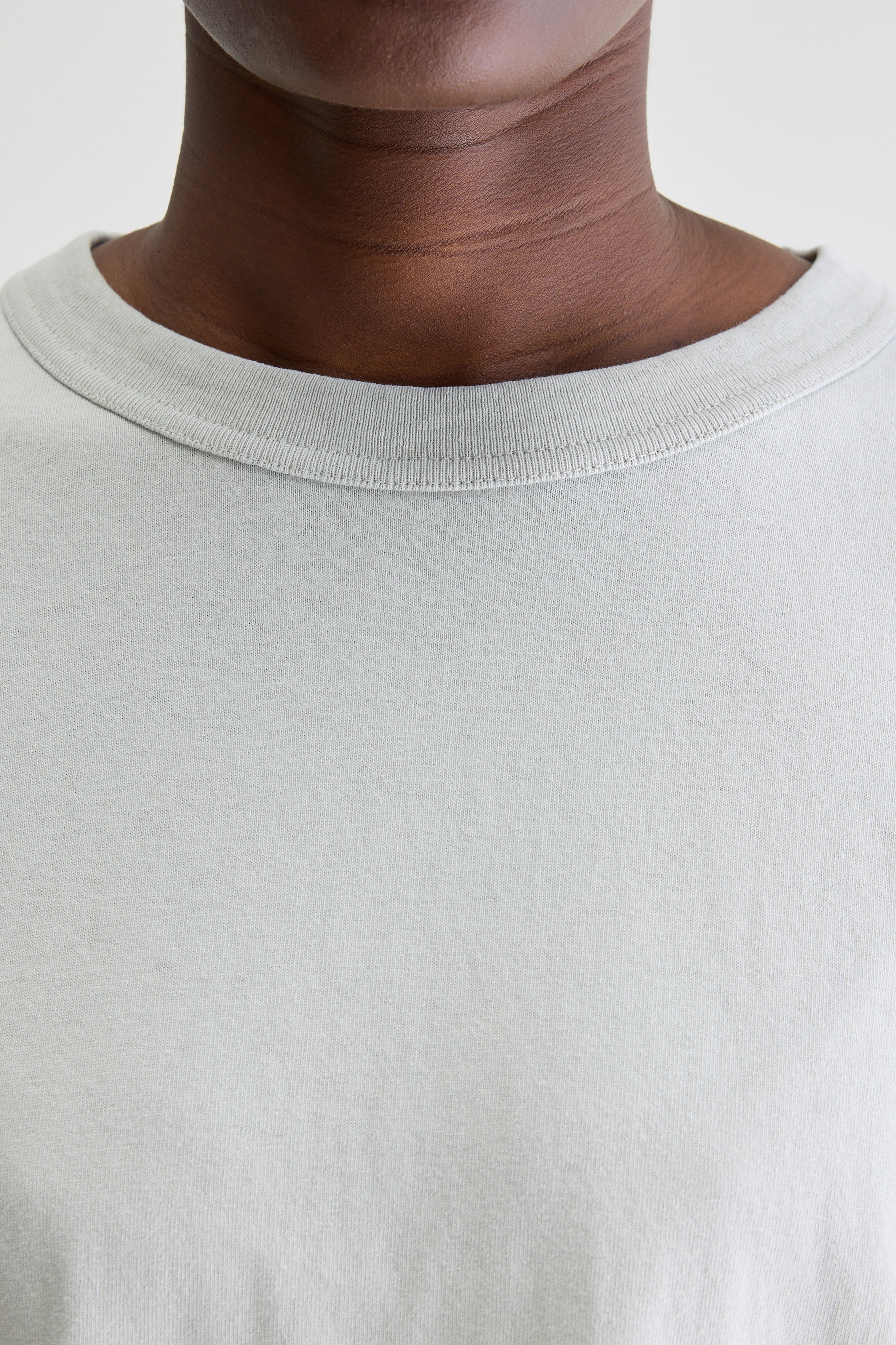 Voss t-shirt met korte mouwen (251 / W / DESERT SAGE)