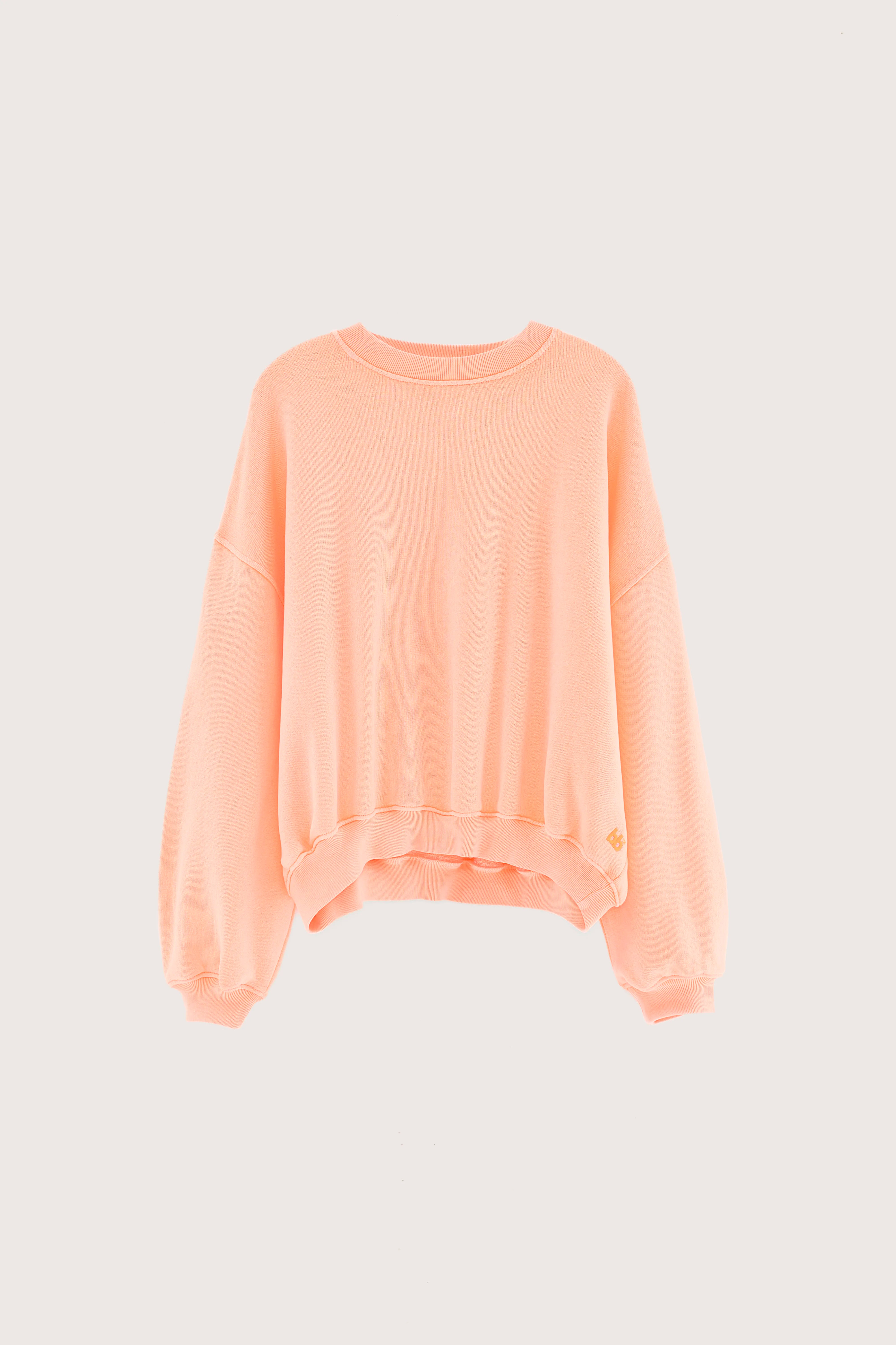 Fancy cropped sweatshirt (251 / W / EXOTIC WASH)