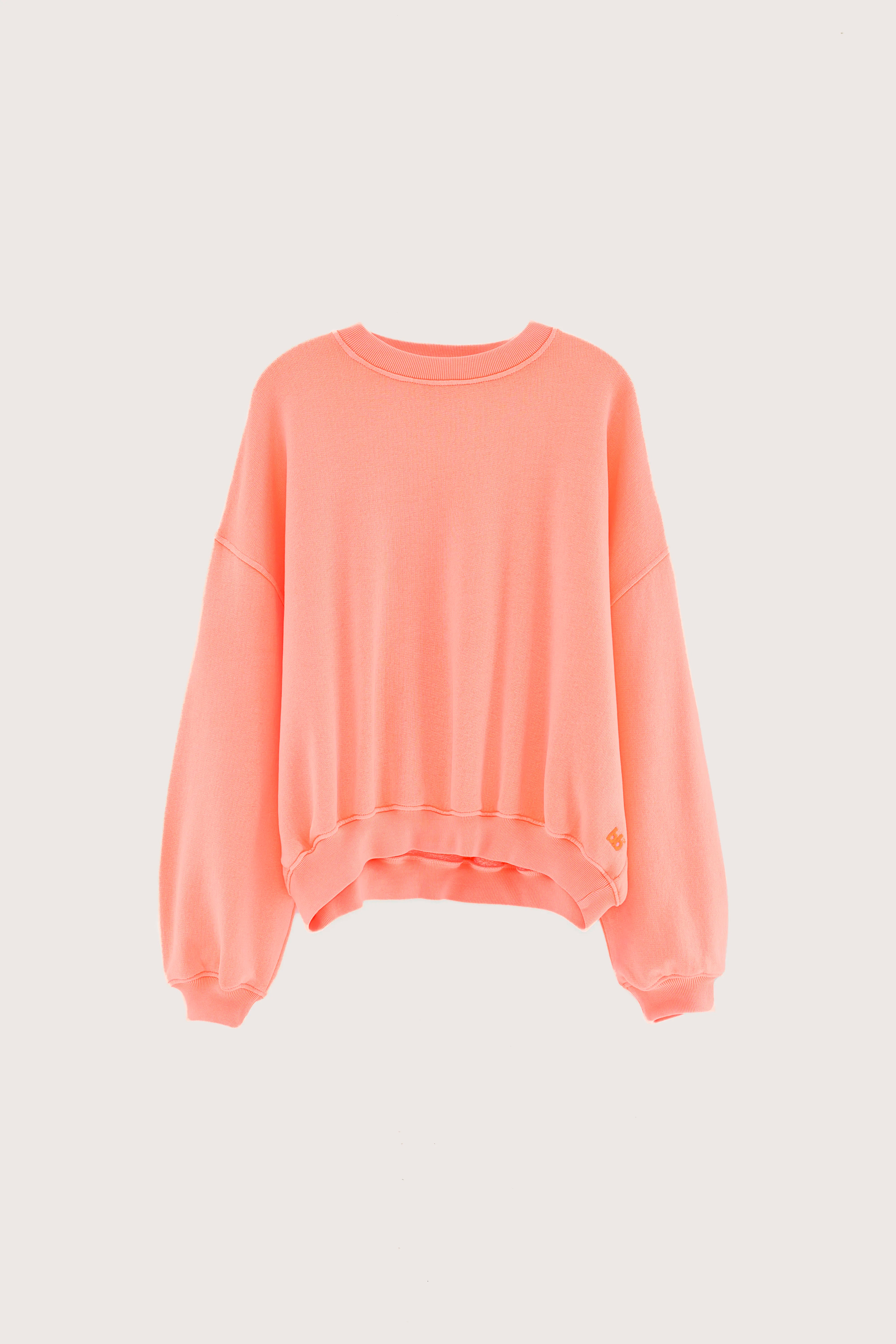 Fancy cropped sweatshirt (251 / W / EXOTIC WASH)