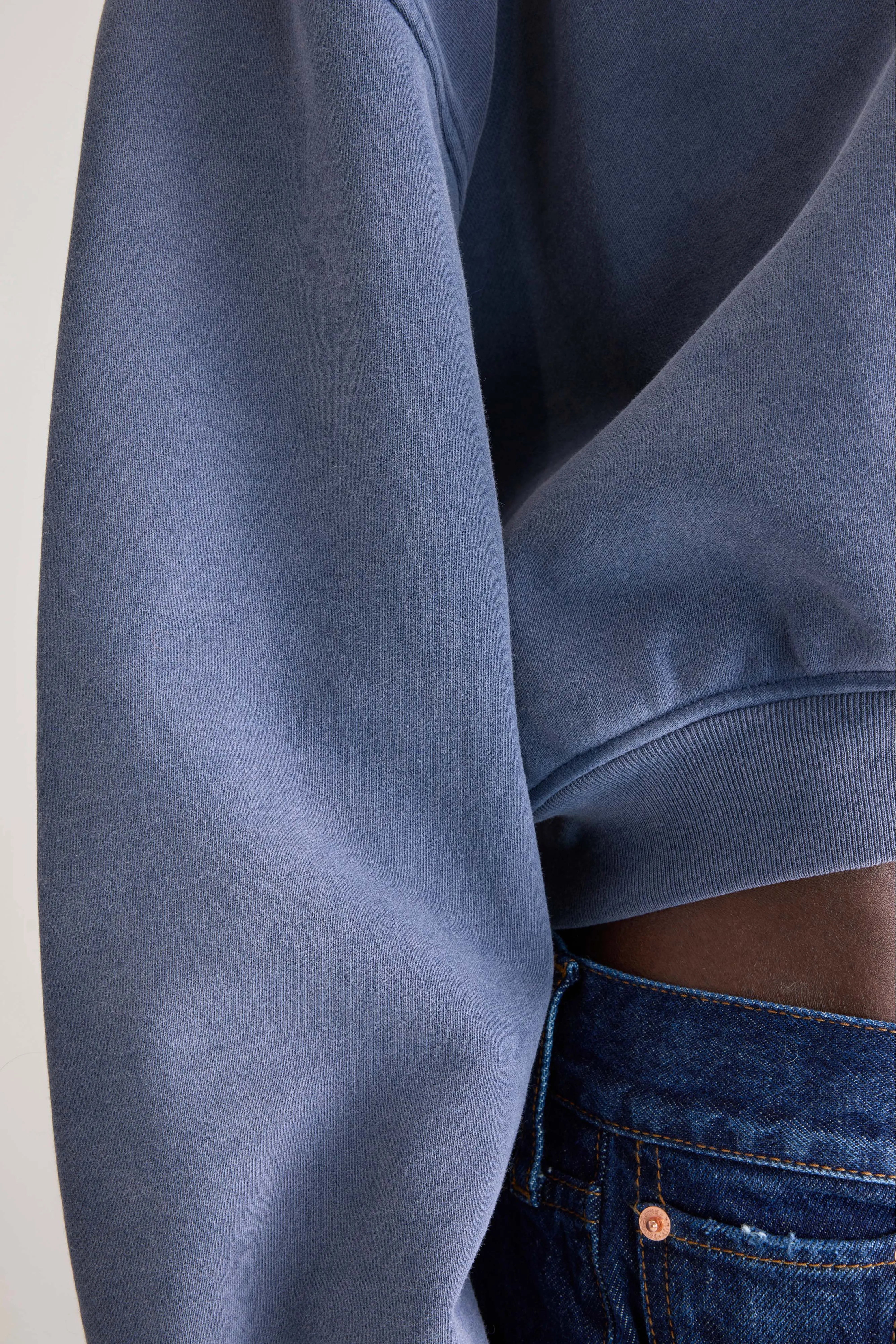 Fancy cropped sweatshirt (252 / W / BLUES)