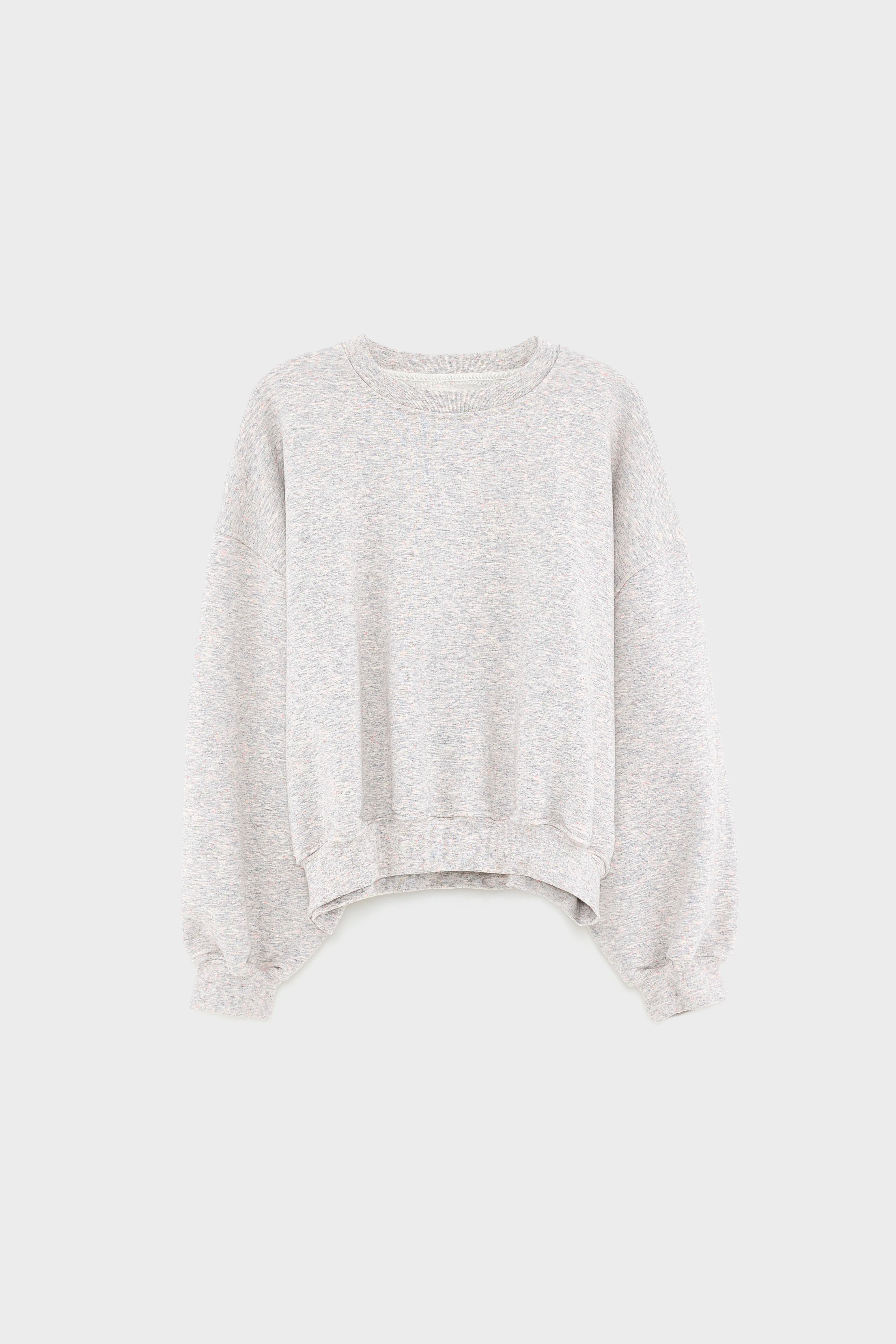 Fancy cropped crewneck sweatshirt (252 / W / COMBO A)