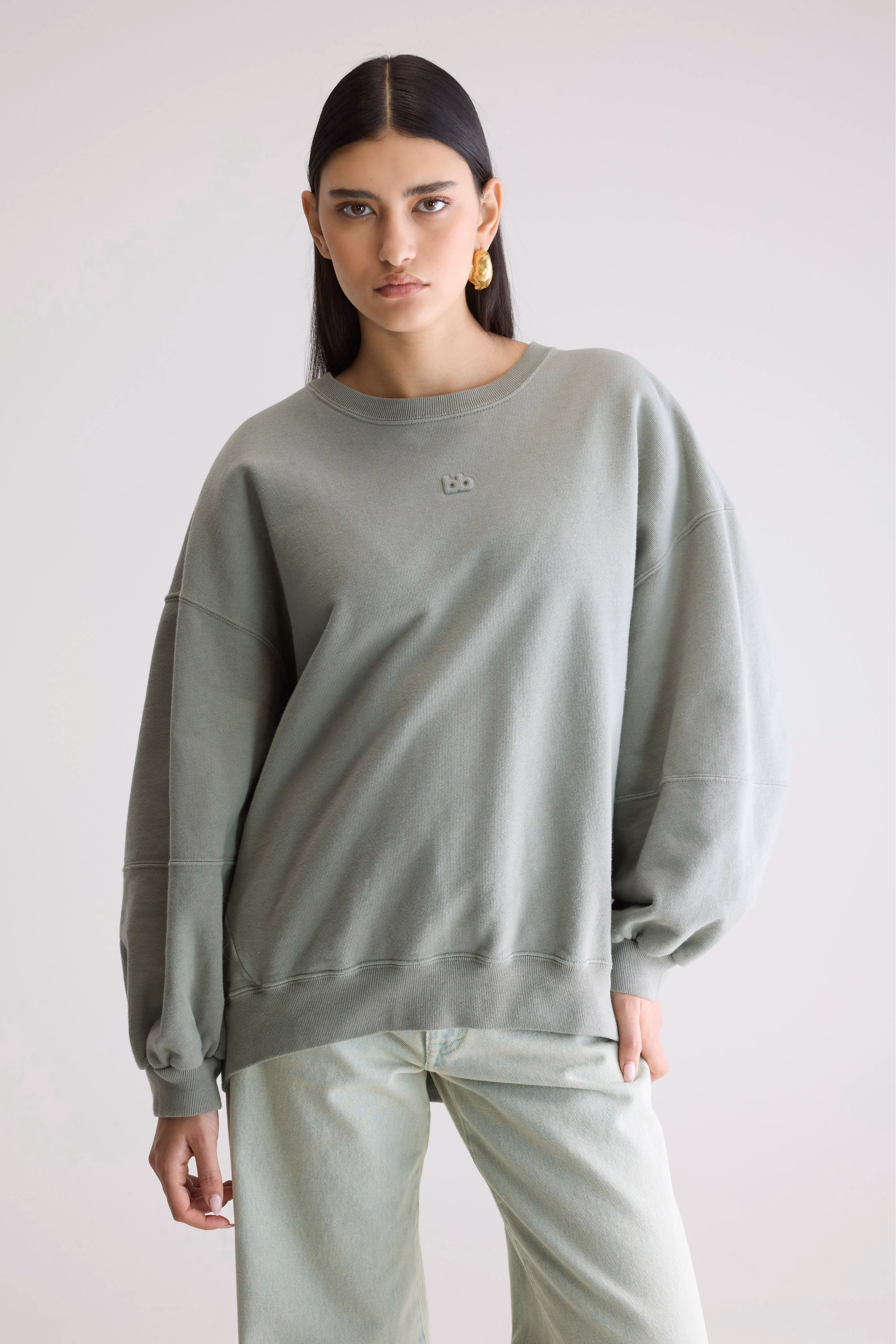 Trig Crewneck Sweatshirt - Mercury For Women | Bellerose