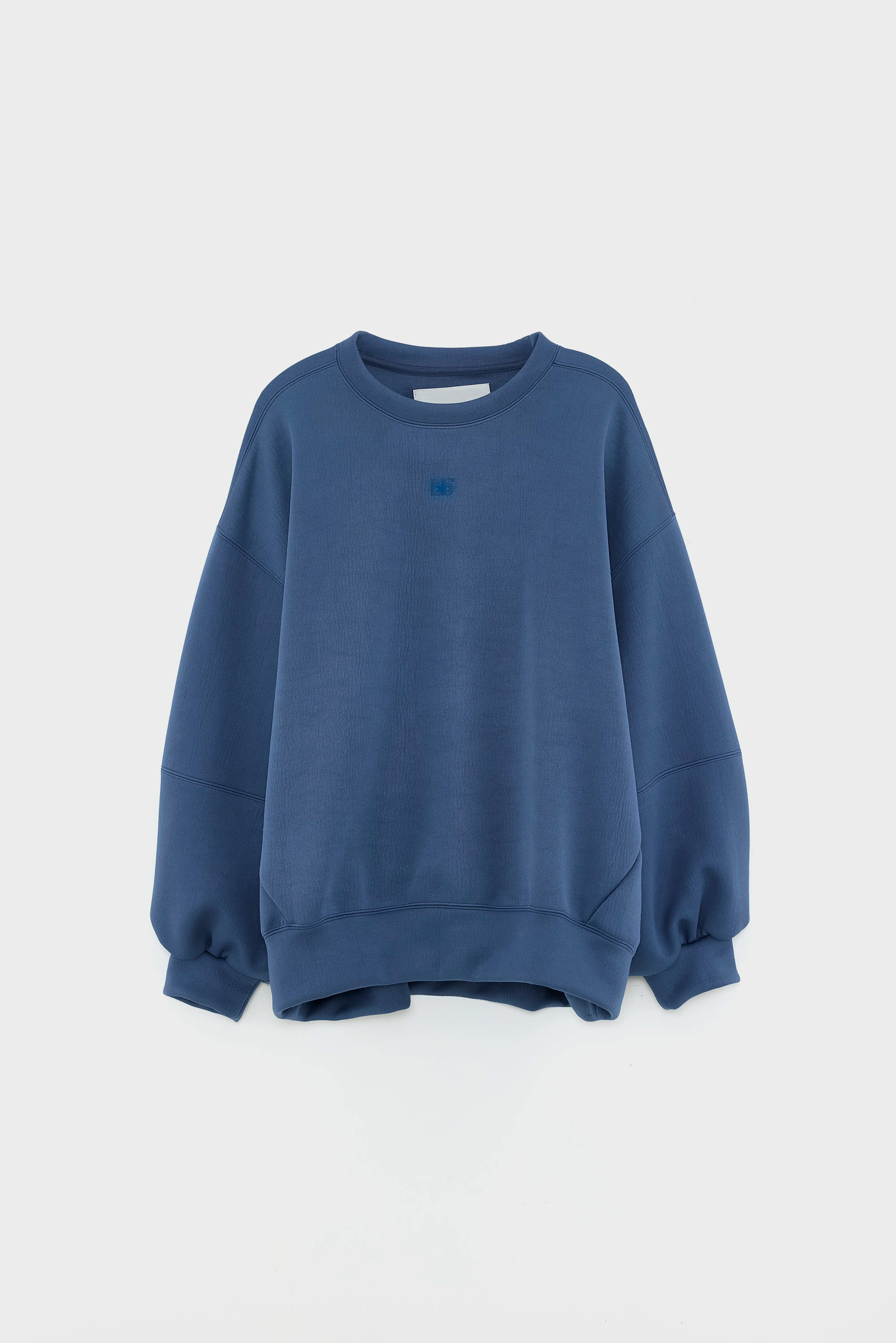 Trig crewneck sweatshirt (252 / W / BLUES)