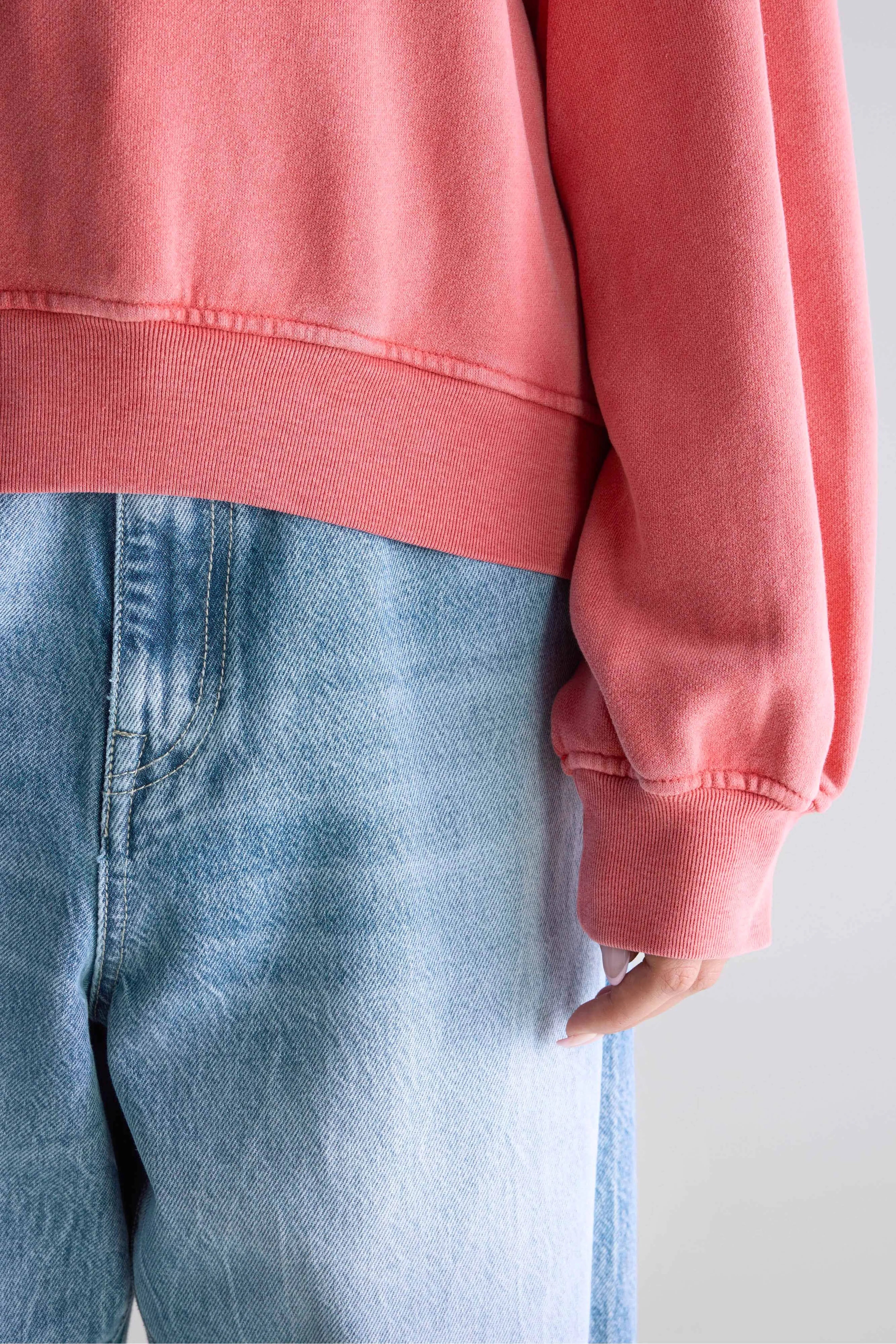 Filosa crewneck sweatshirt (252 / W / SANGUINE)