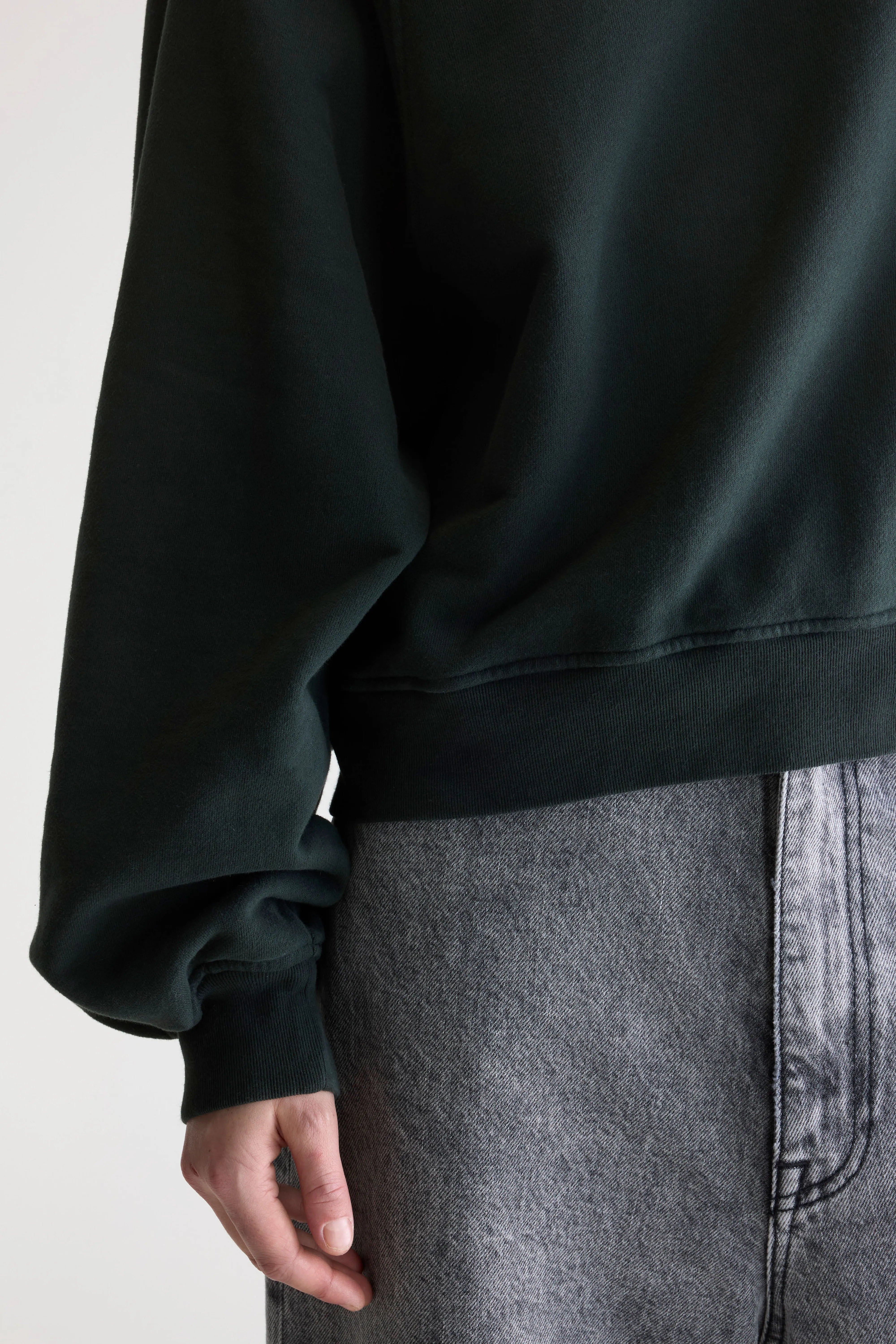 Filosa crewneck sweatshirt (252 / W / JET SET)
