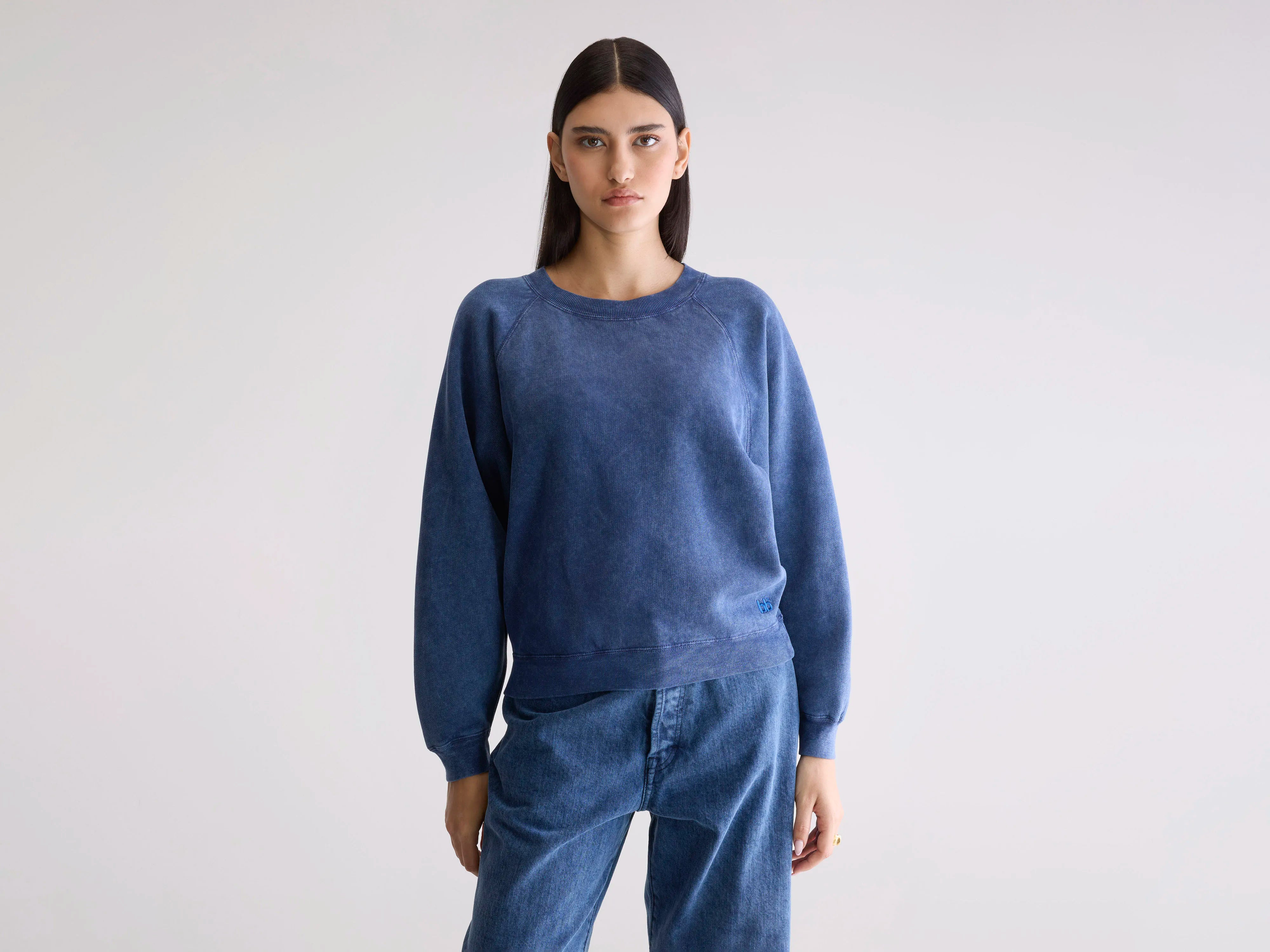 Fella relaxed sweatshirt (252 / W / BLUES)
