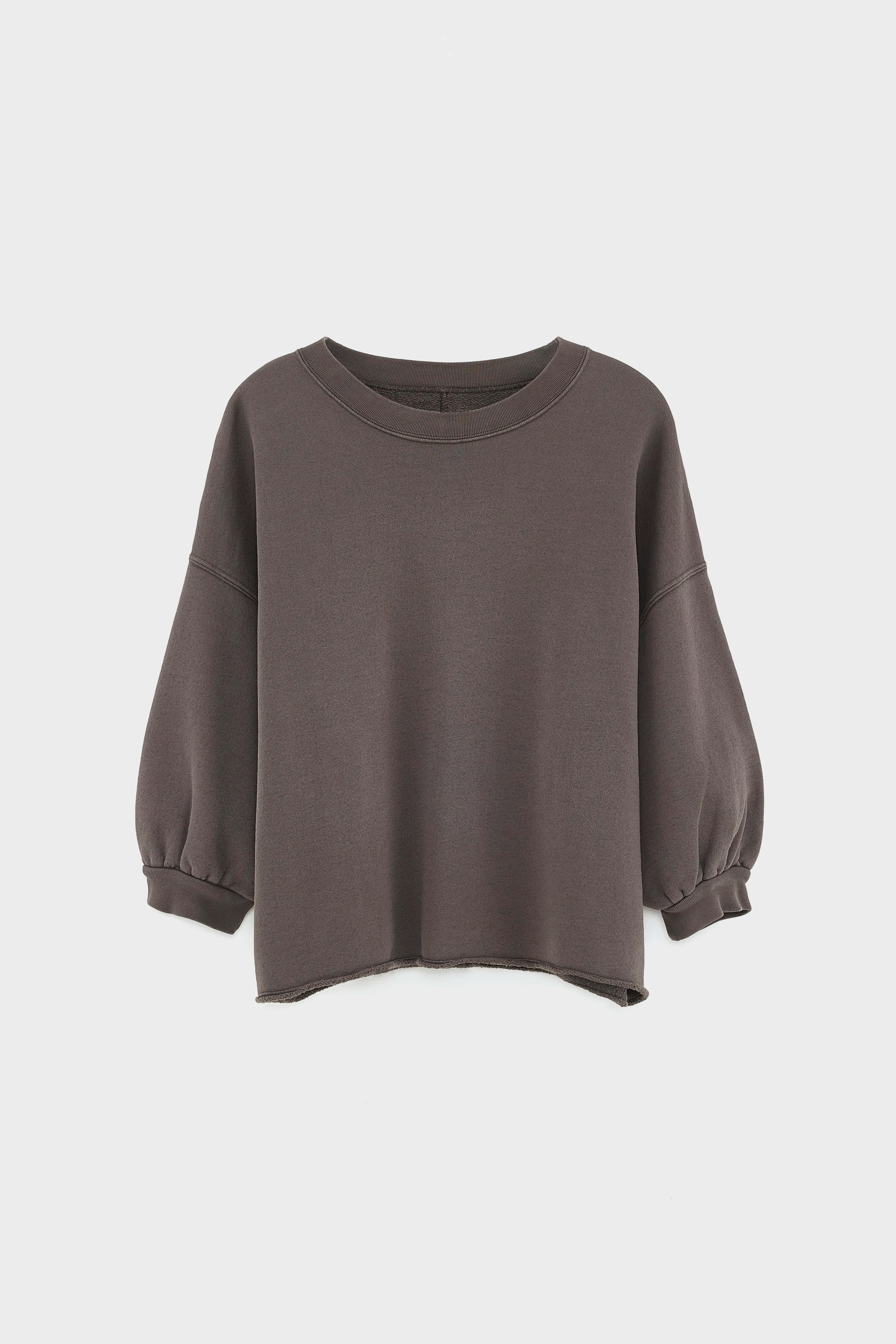 Vicske crewneck sweatshirt (252 / W / DARK ROAST)