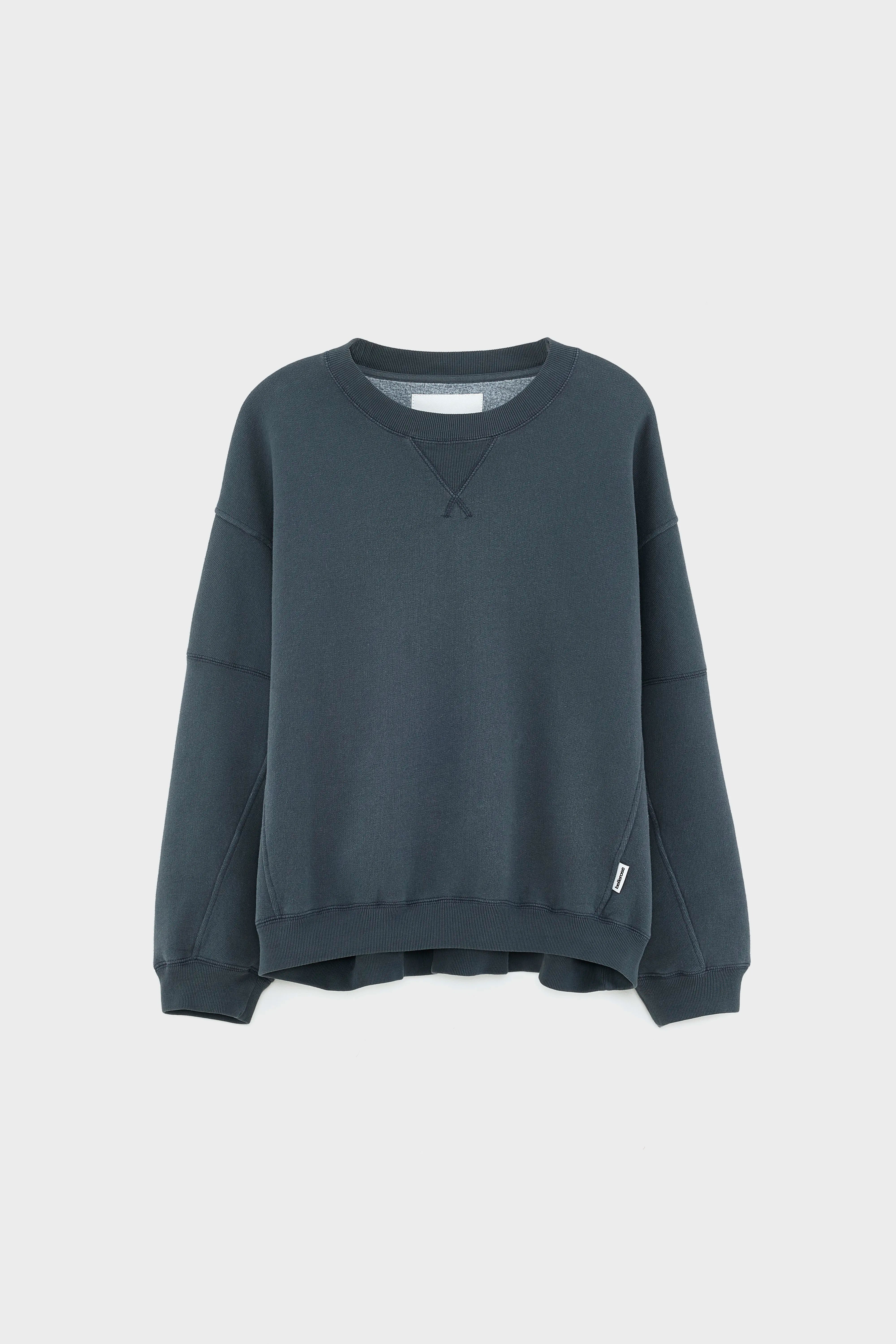 Flips crewneck sweatshirt (252 / W / PIRATE)