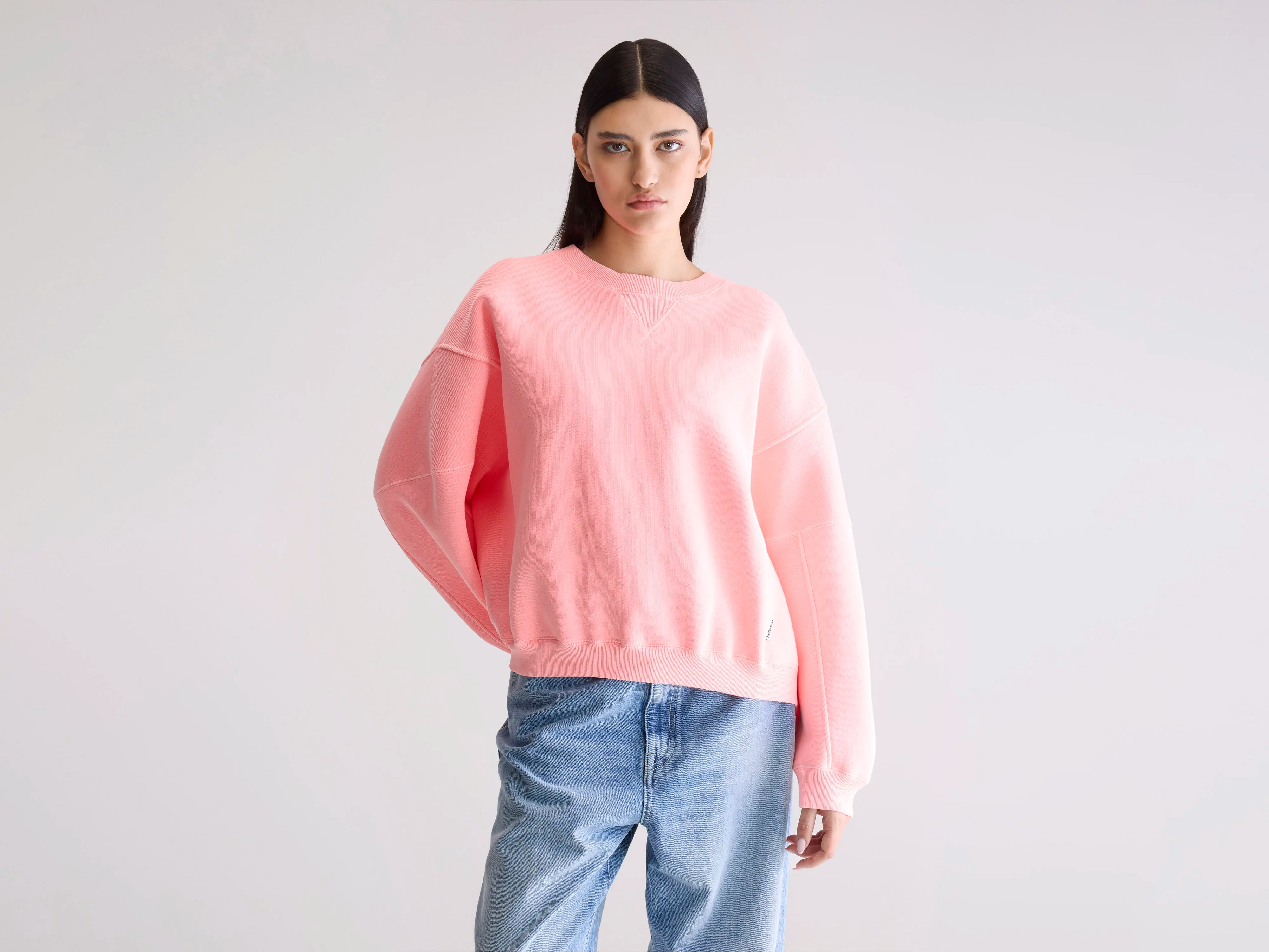 Flips crewneck sweatshirt (252 / W / FLASH WASH)
