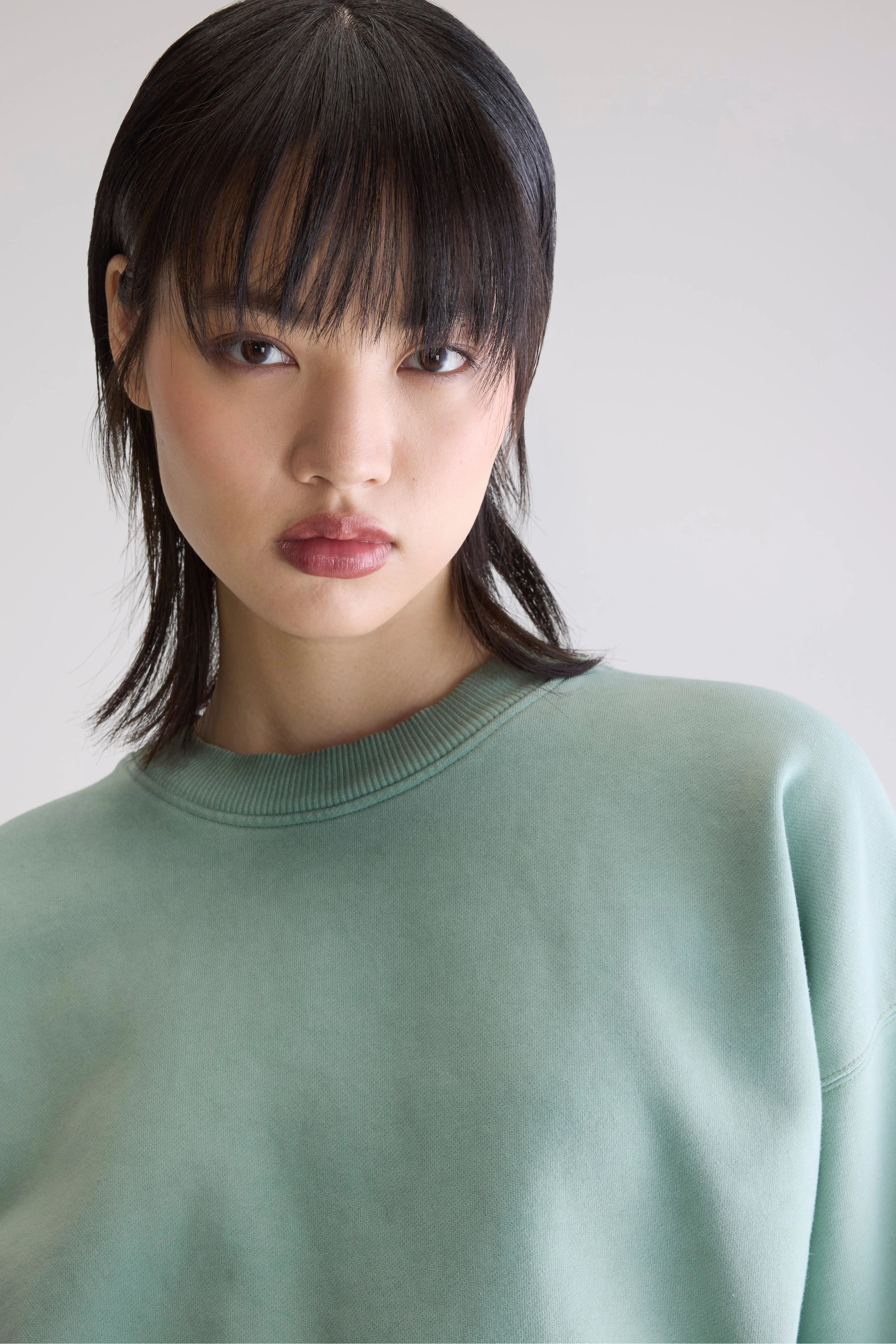 Slenni Crewneck Sweatshirt - Eucalyptus For Women | Bellerose