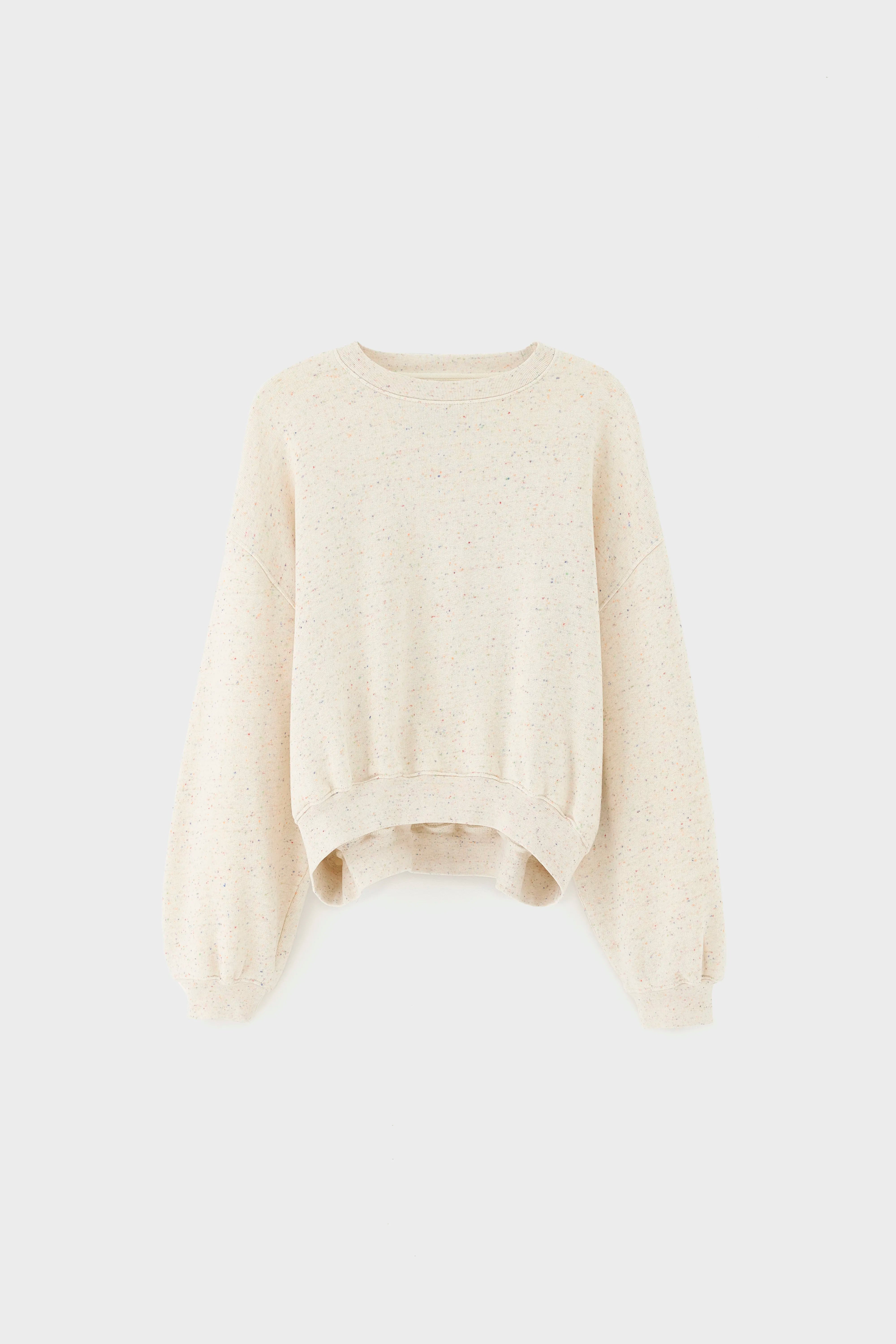 Fancy cropped crewneck sweatshirt (261 / W / COMBO C)