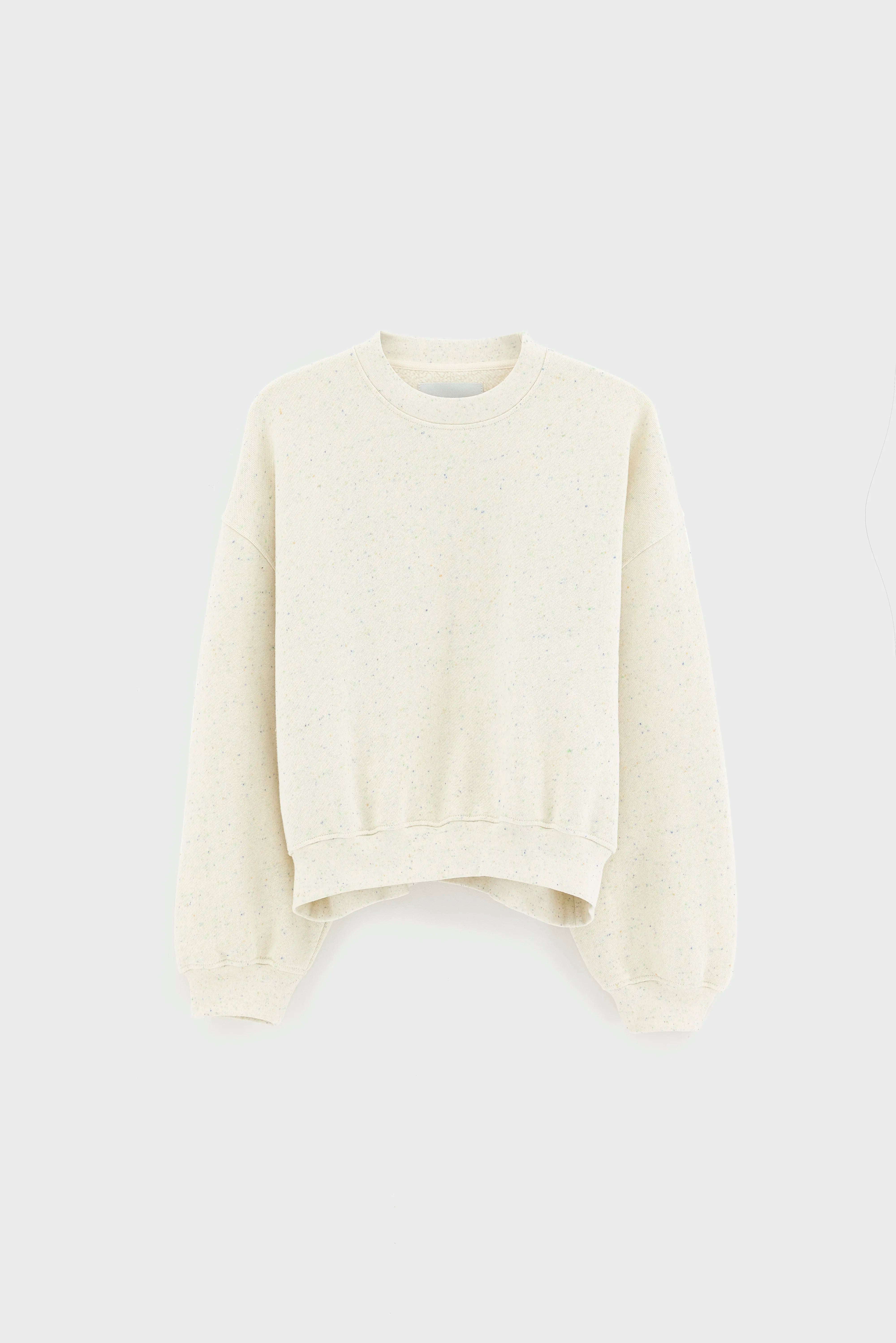 Fancy cropped crewneck sweatshirt (261 / W / COMBO A)