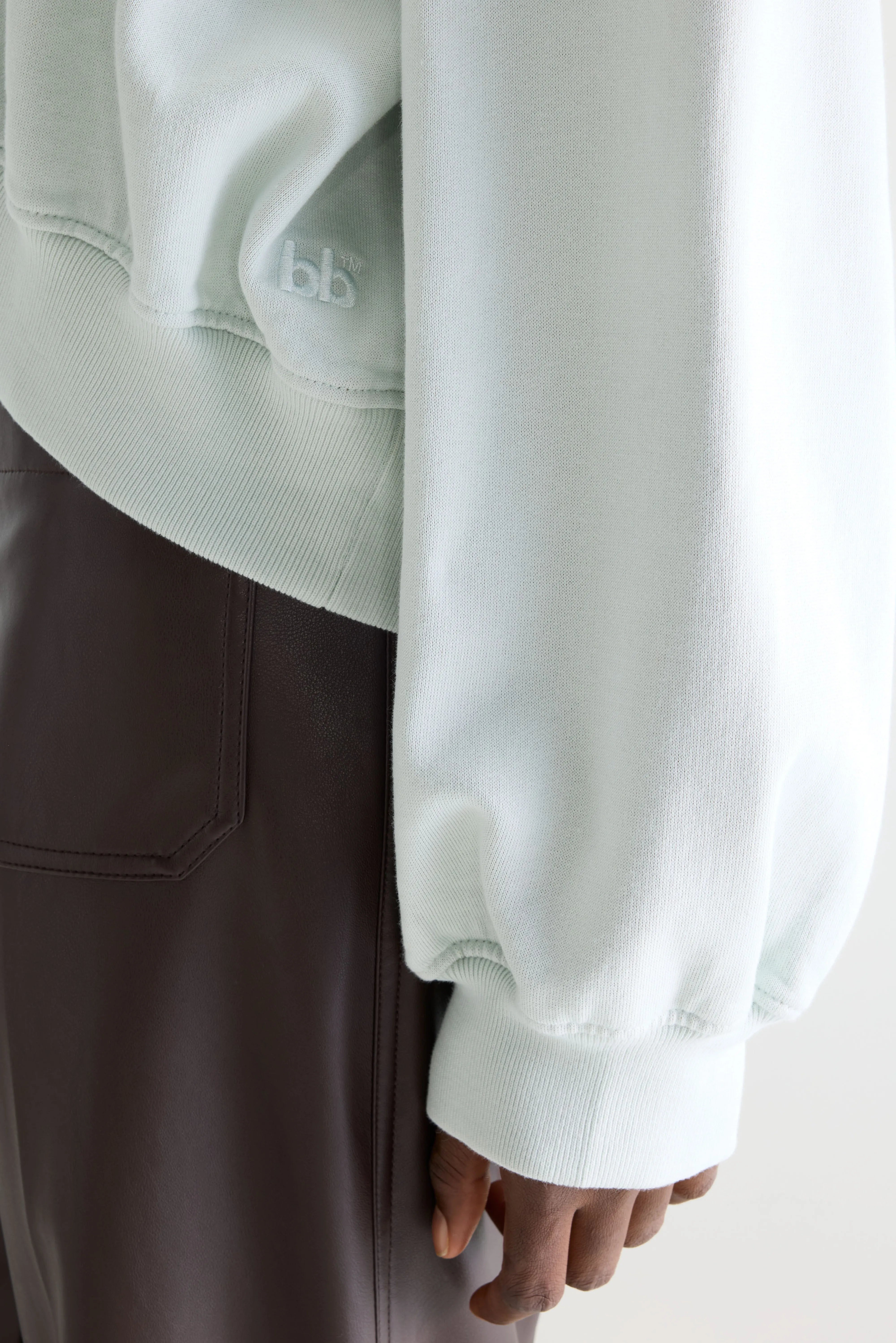 Fancy cropped crewneck sweatshirt (261 / W / AGUA VERDE)