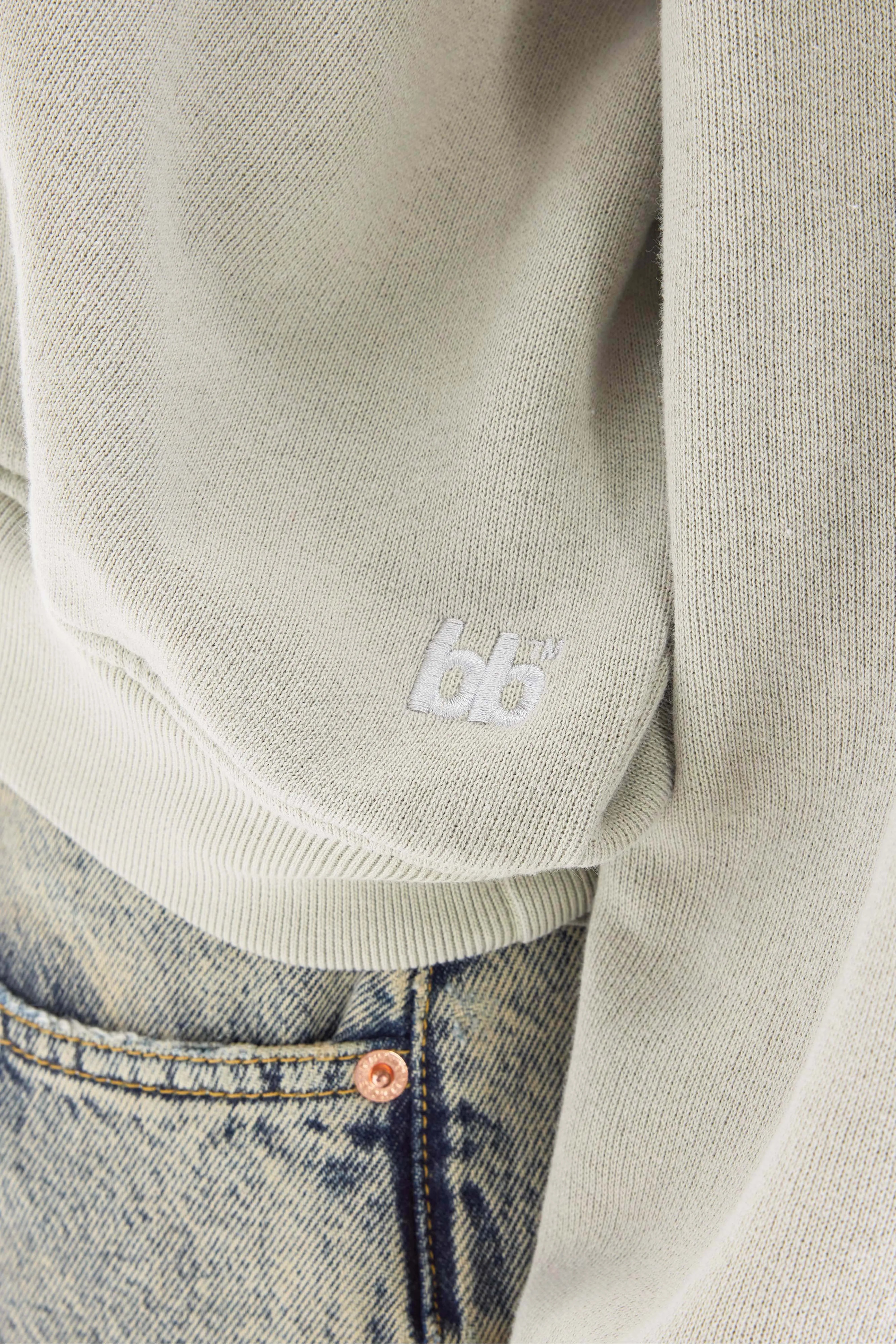 Fancy cropped sweatshirt met ronde hals (261 / W / JADEITE)