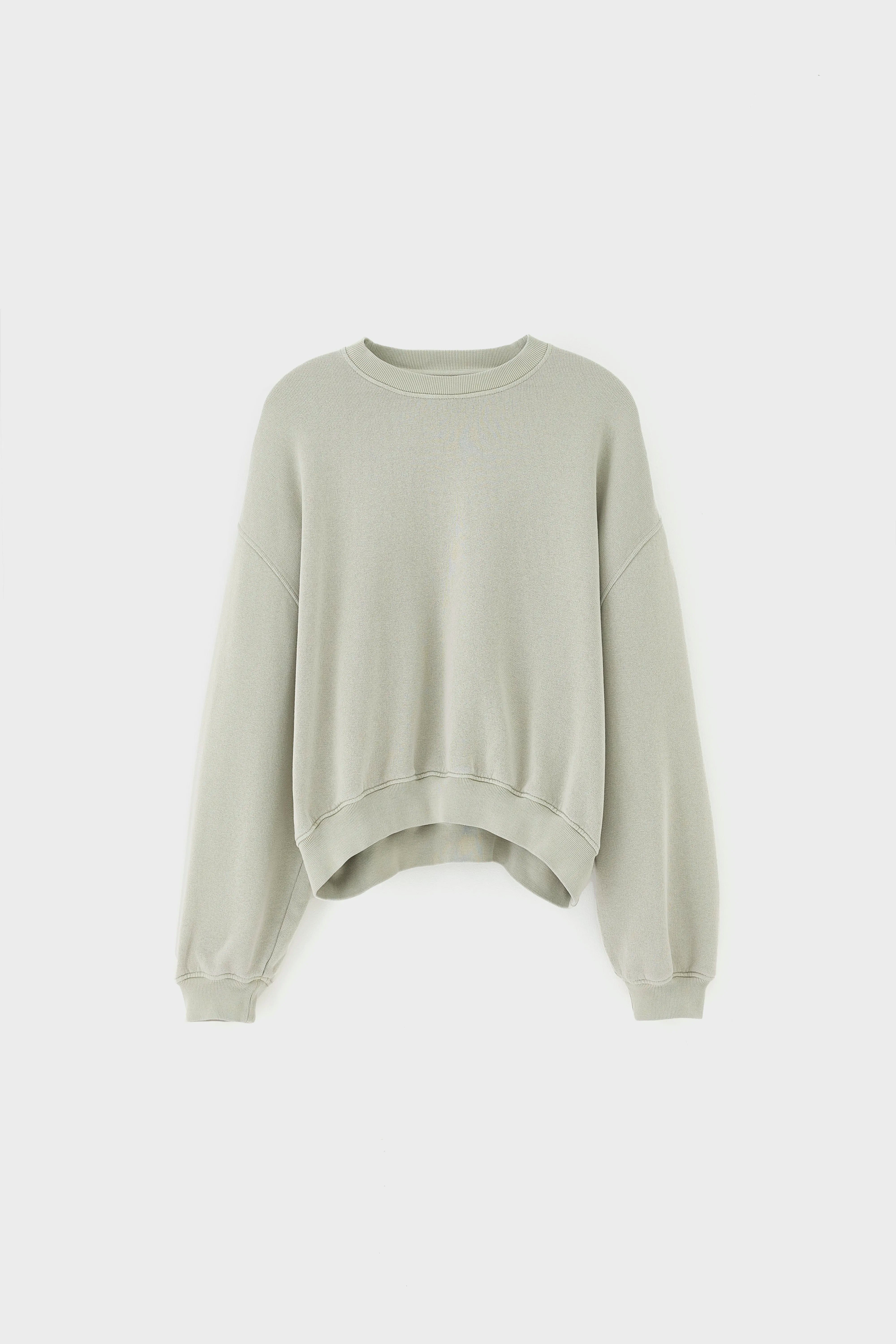 Fancy cropped sweatshirt met ronde hals (261 / W / JADEITE)