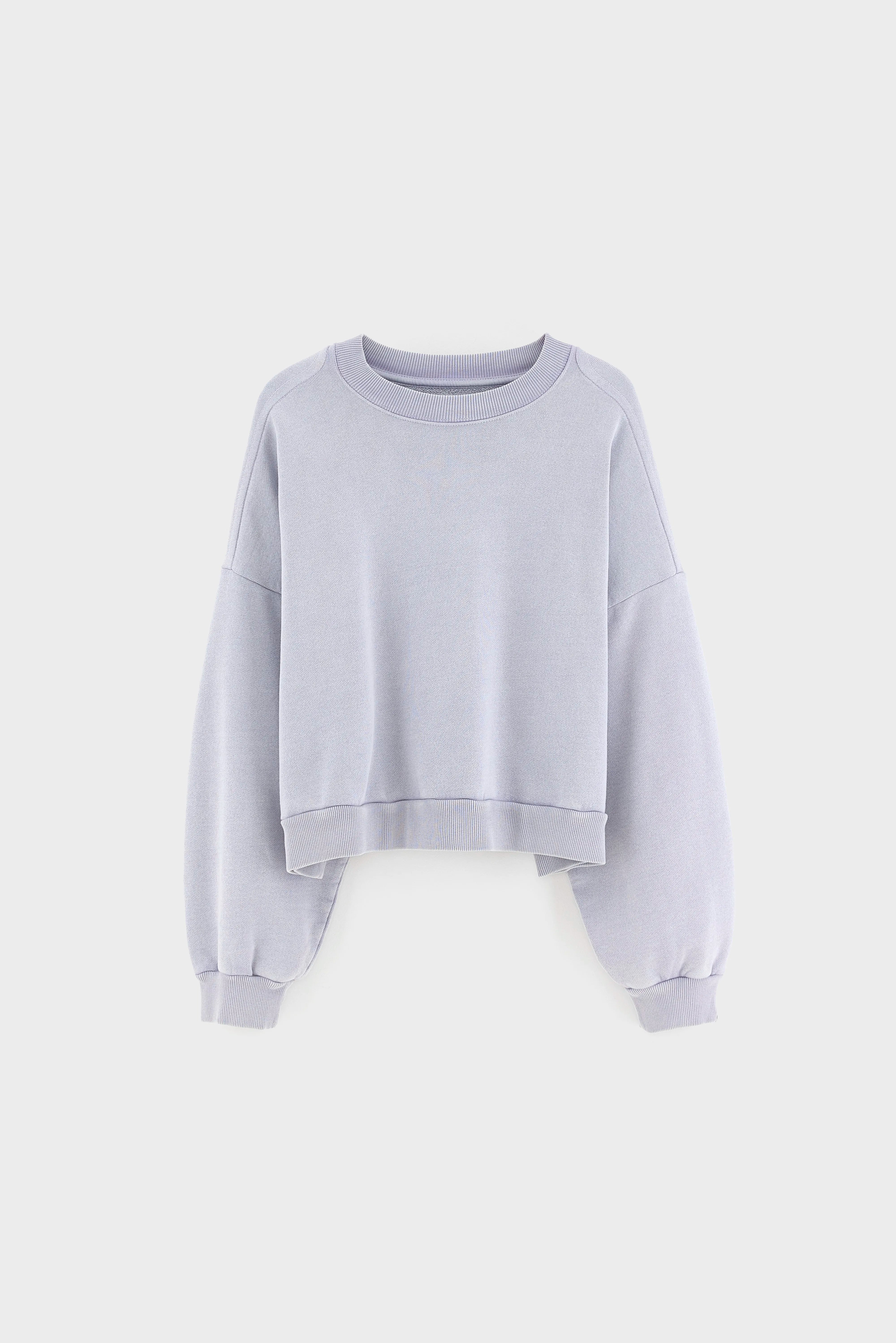 Ferno boxy sweatshirt met ronde hals (262 / W / ASHES)