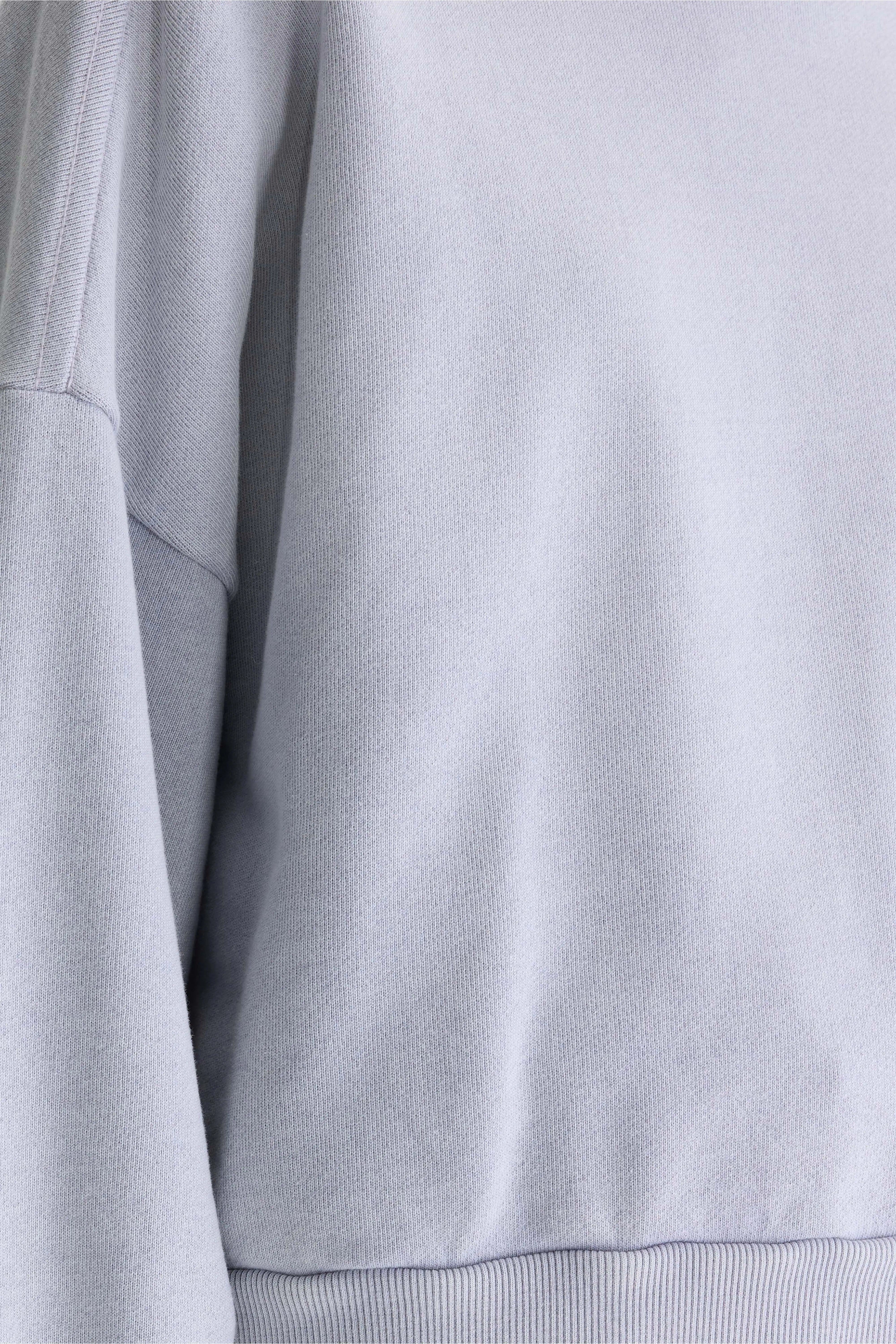 Ferno boxy sweatshirt met ronde hals (262 / W / ASHES)