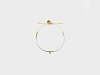 GUANABANA Argantina 40 Plus Armband  

