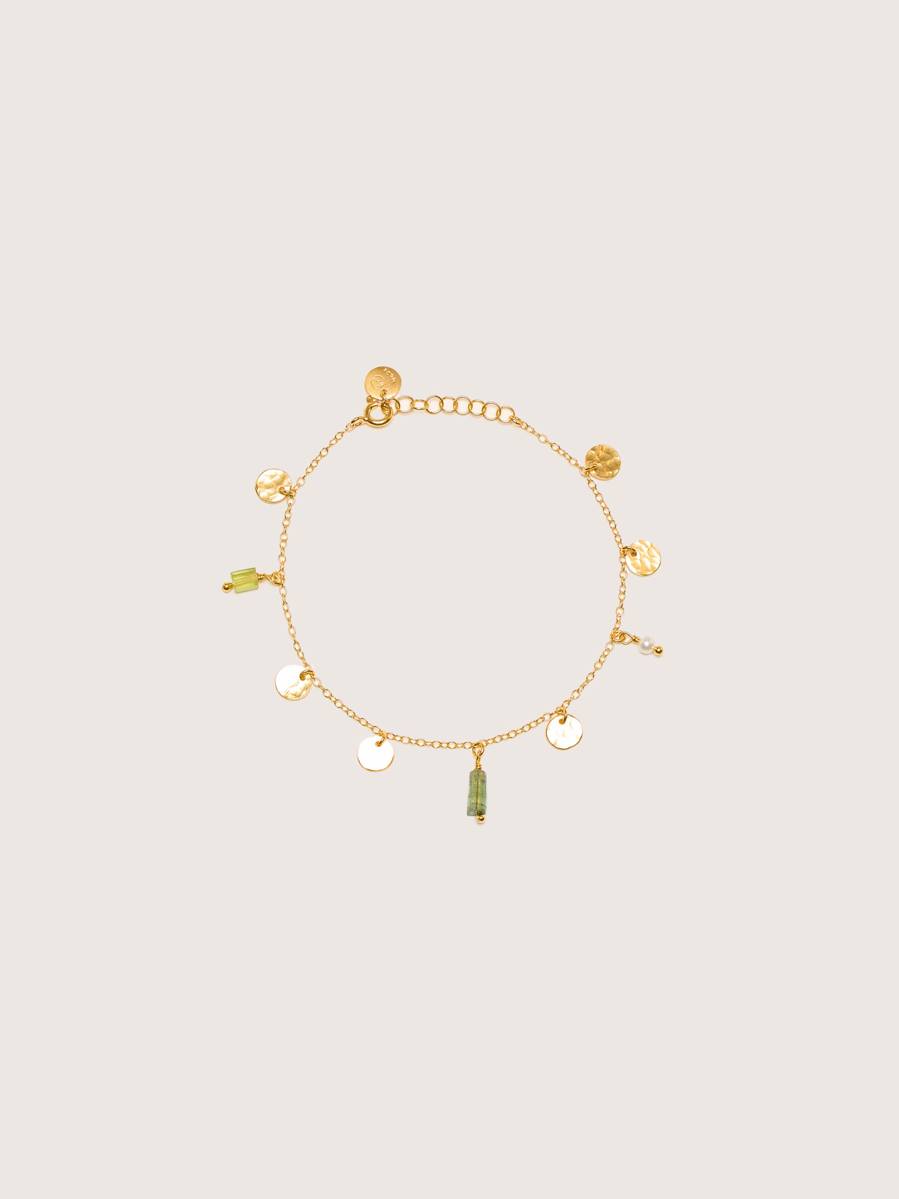 Precious Charm Bracelet (242 / W / GOLD)