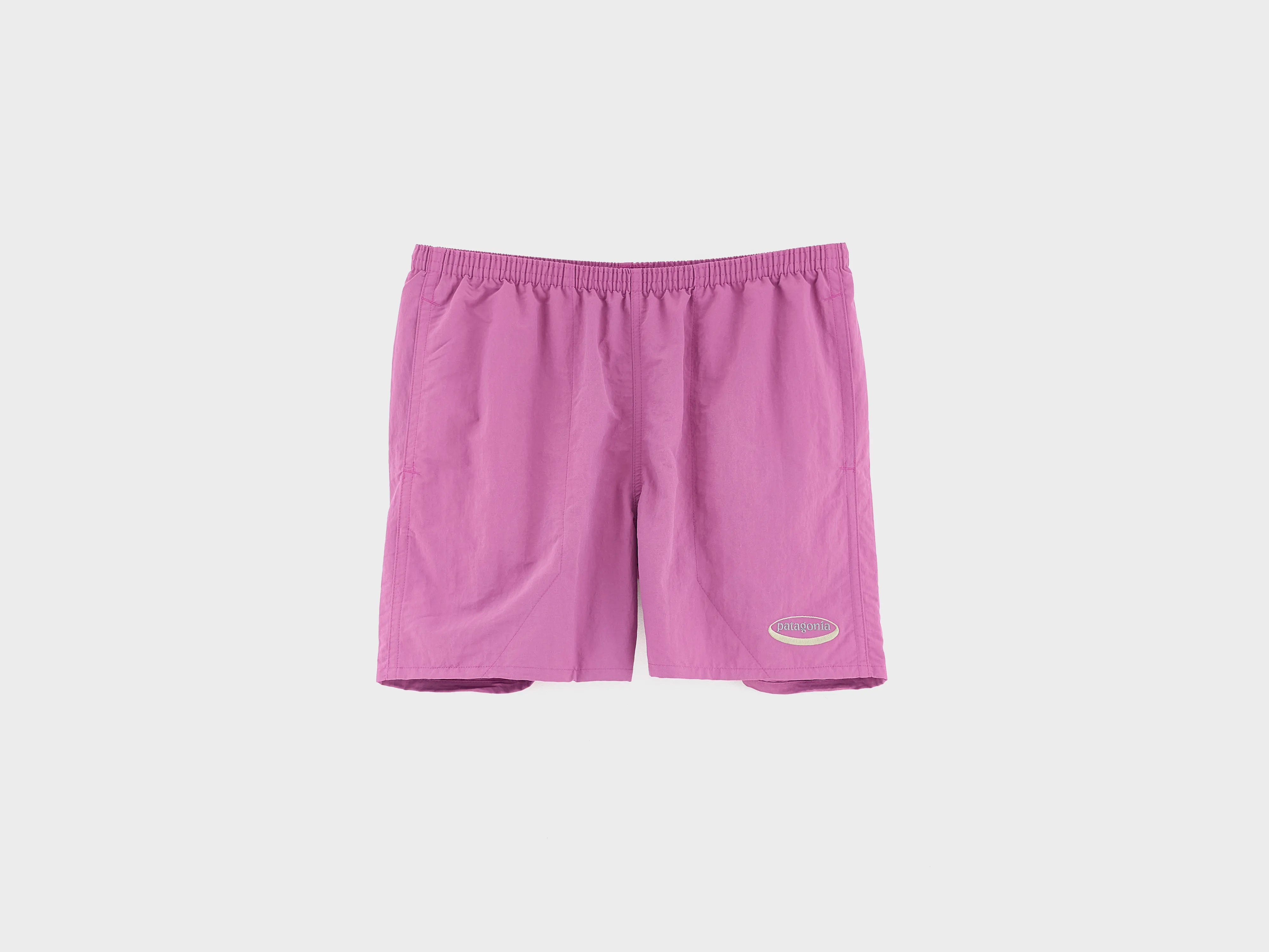 Men's Baggies Shorts - 5"  (261 / M / PURPLE)