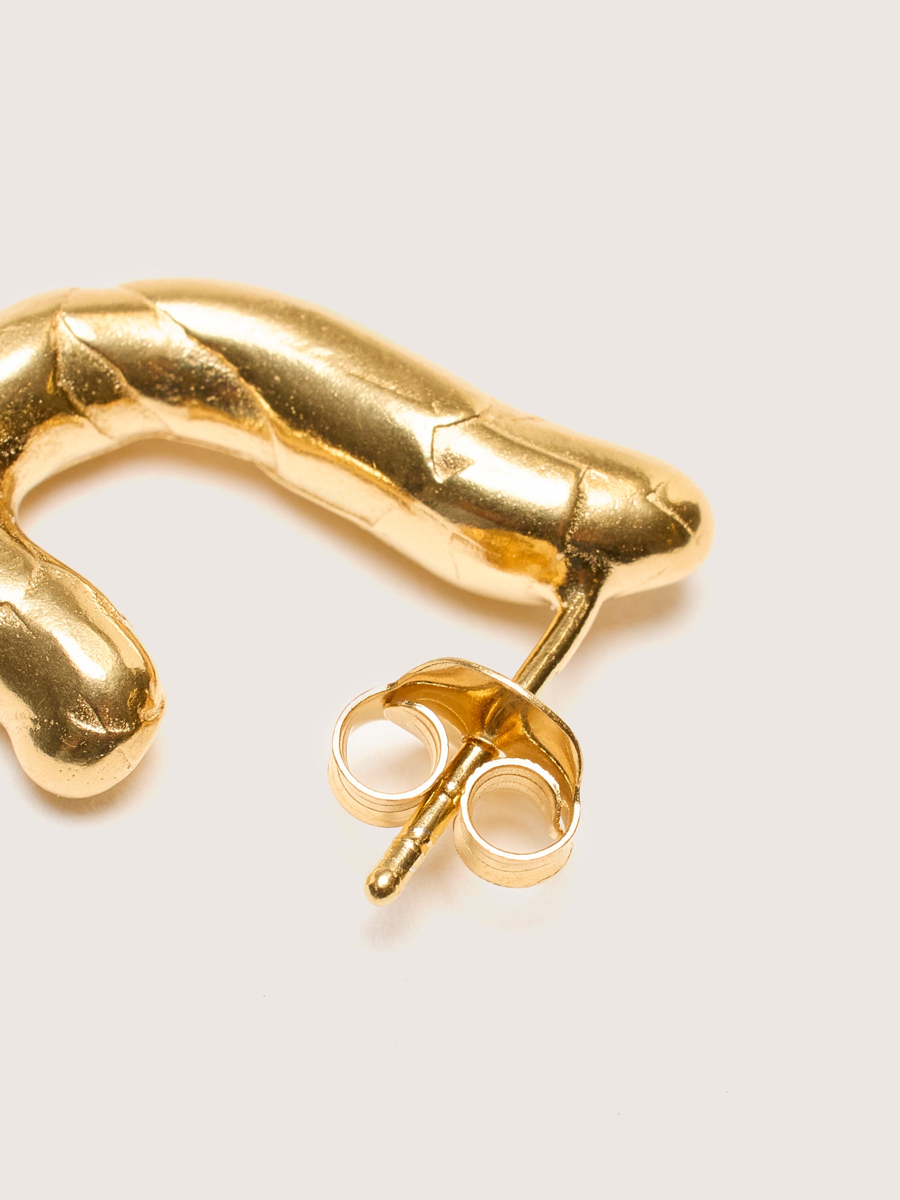 Gamba Gold Earrings  (242 / W / GOLD)