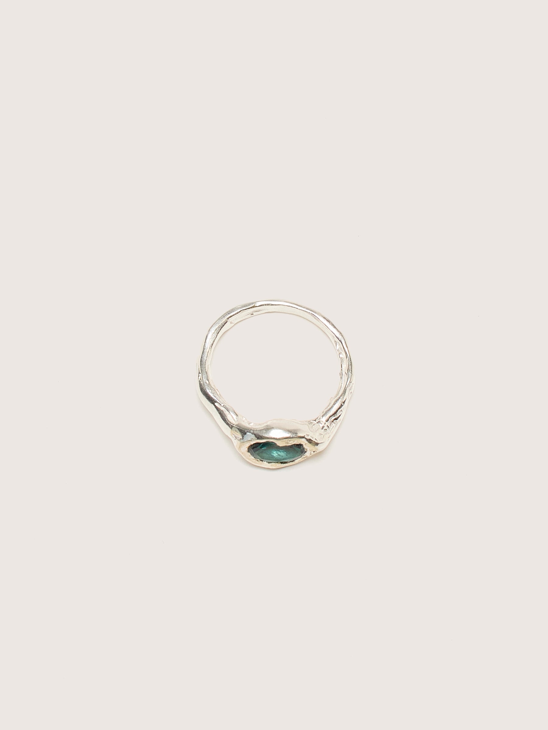 faro zilveren ring (242 / W / SILVER)