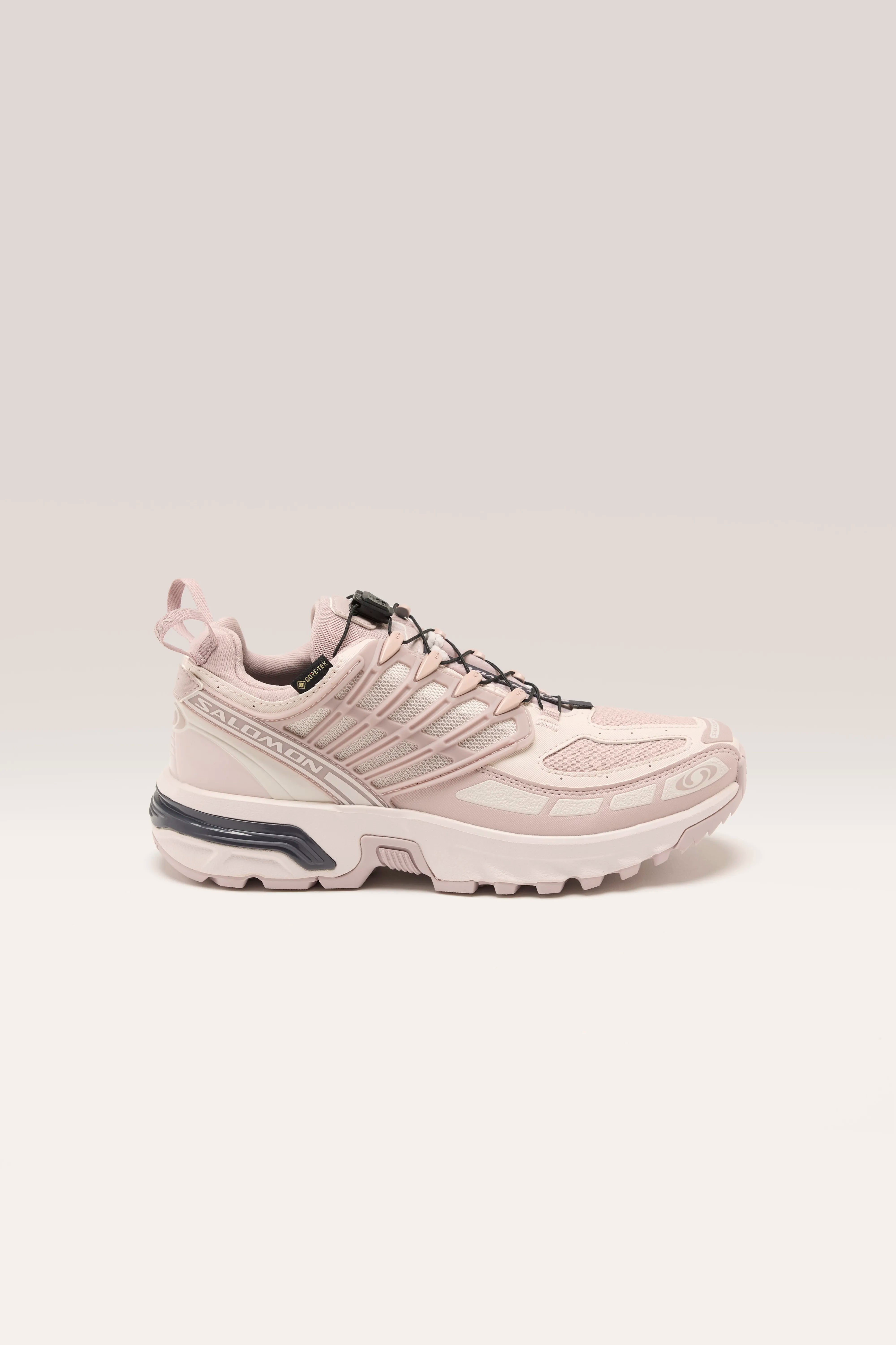 Acs Pro Gore-tex for Women (242 / W / LILAC)