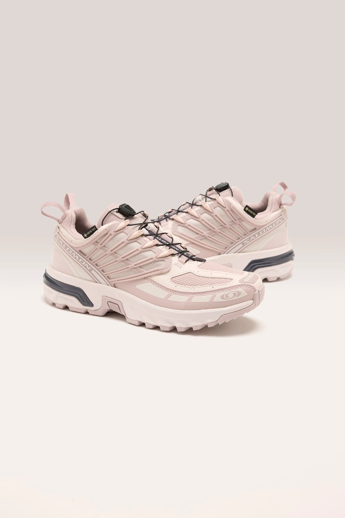 Acs Pro Gore-tex pour Femme (242 / W / LILAC)