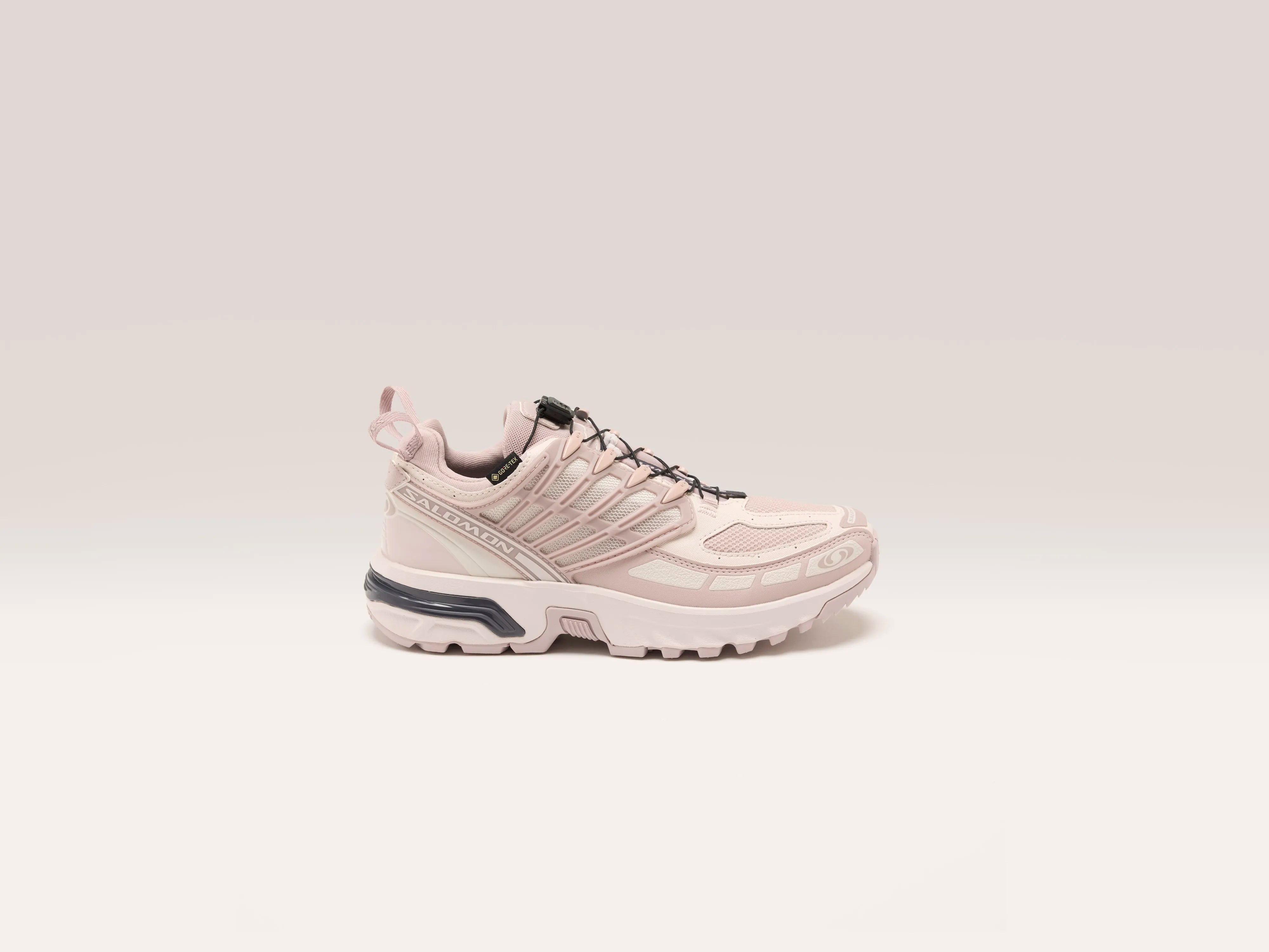 Acs Pro Gore-tex pour Femmes (242 / W / LILAC)