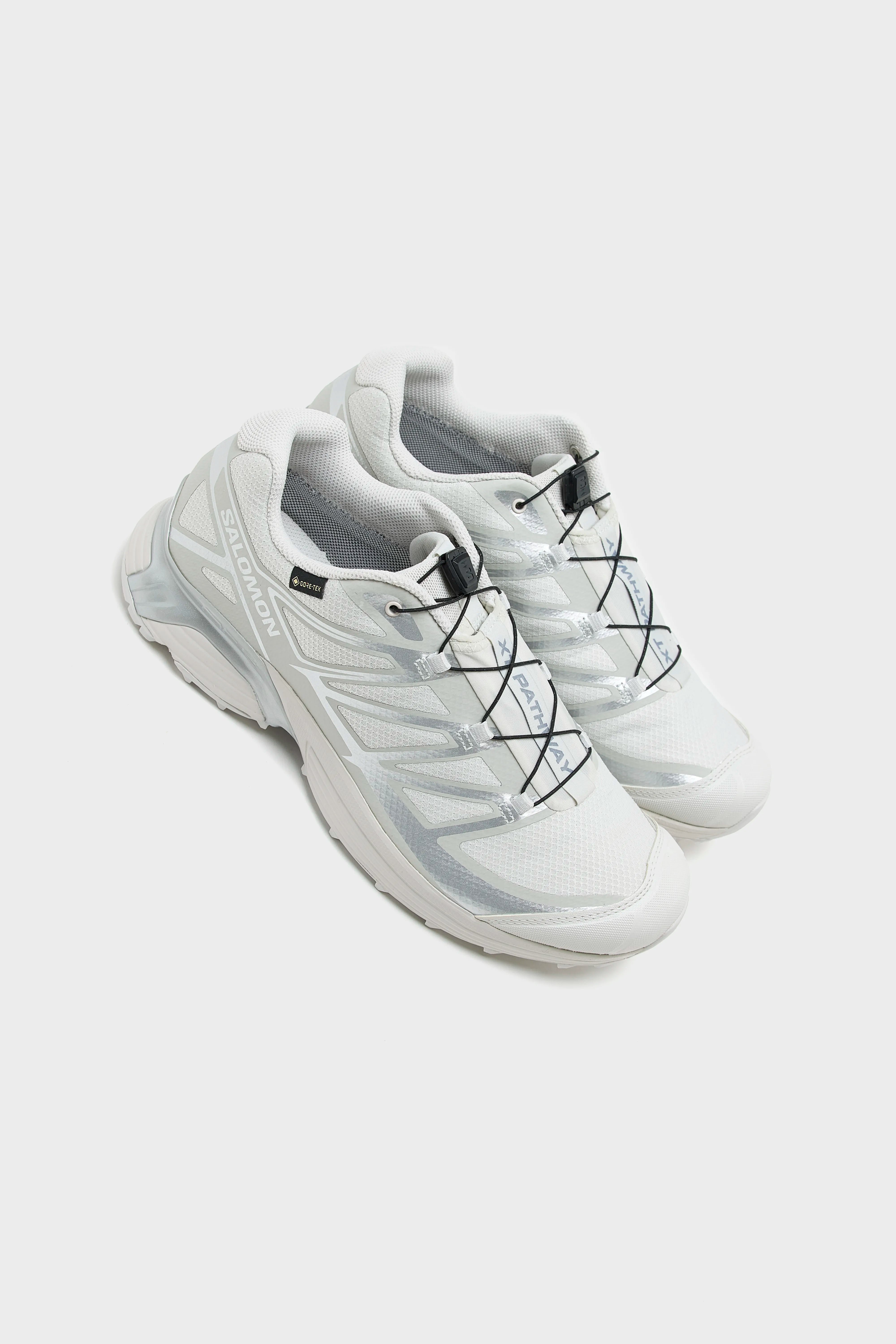 XT-Pathway Gore-Tex voor Mannen (251 / M / WHITE)