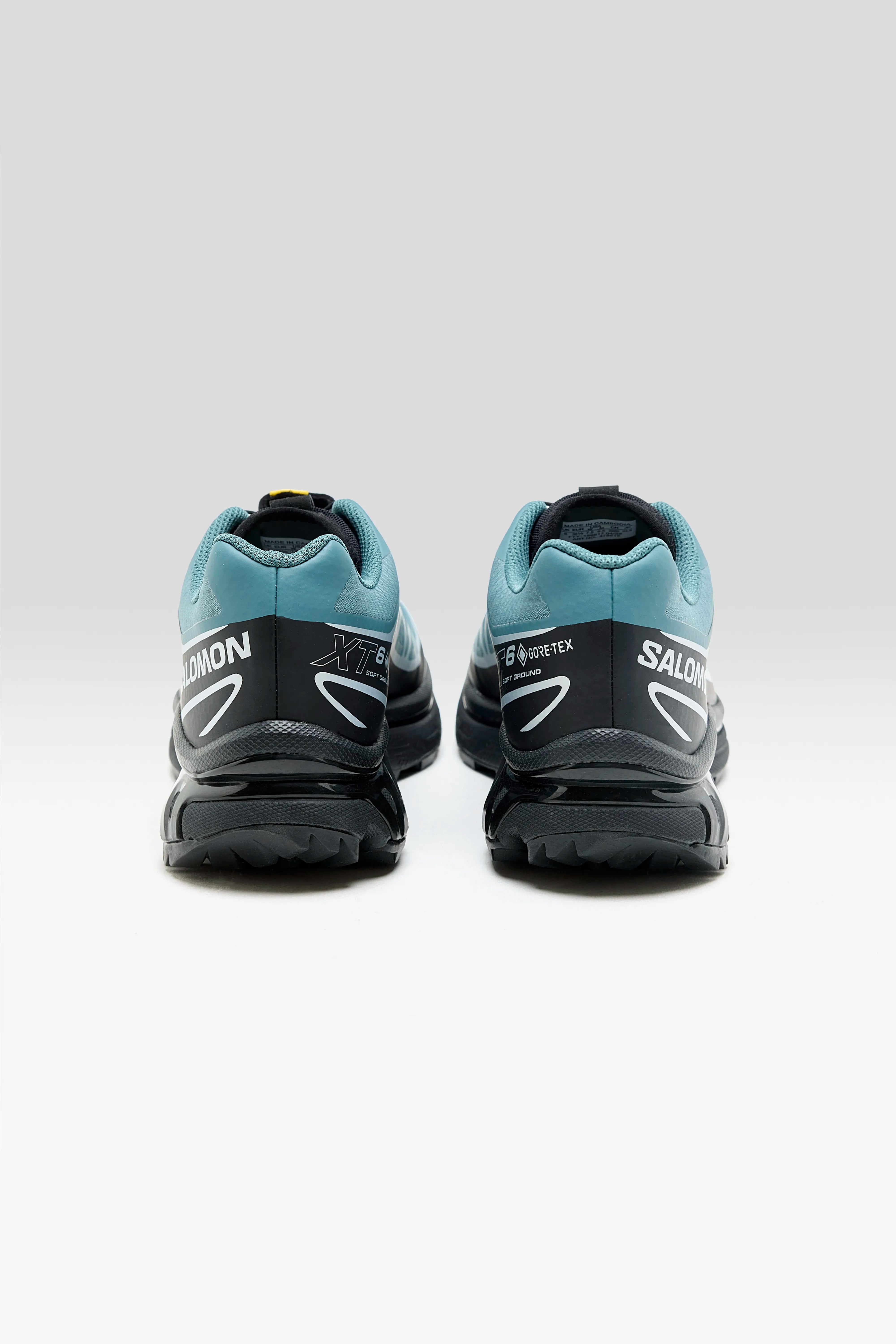 XT-6 GORE-TEX pour Femmes (252 / W / TURQUOISE)